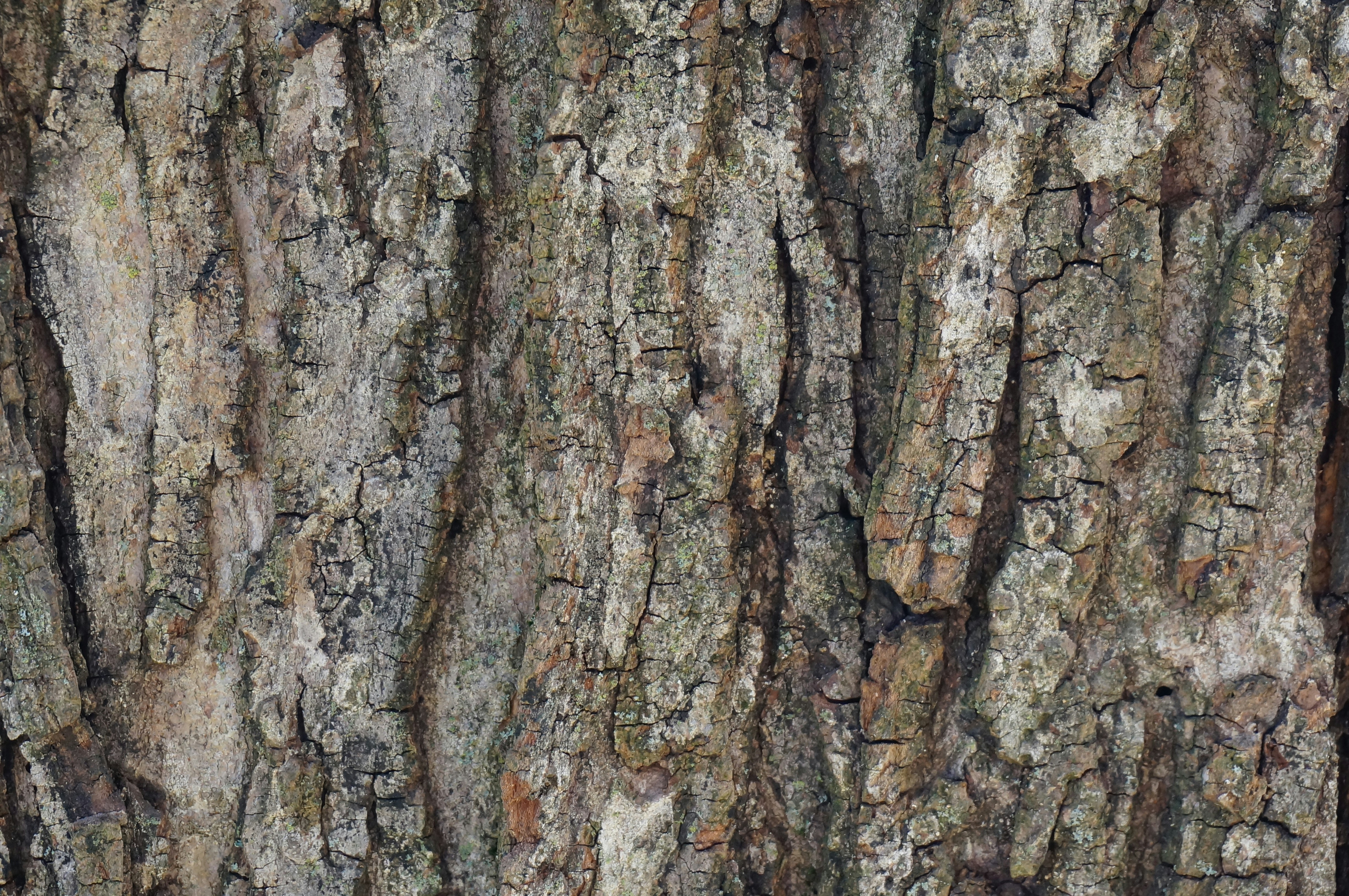 Photo by sugargirl333