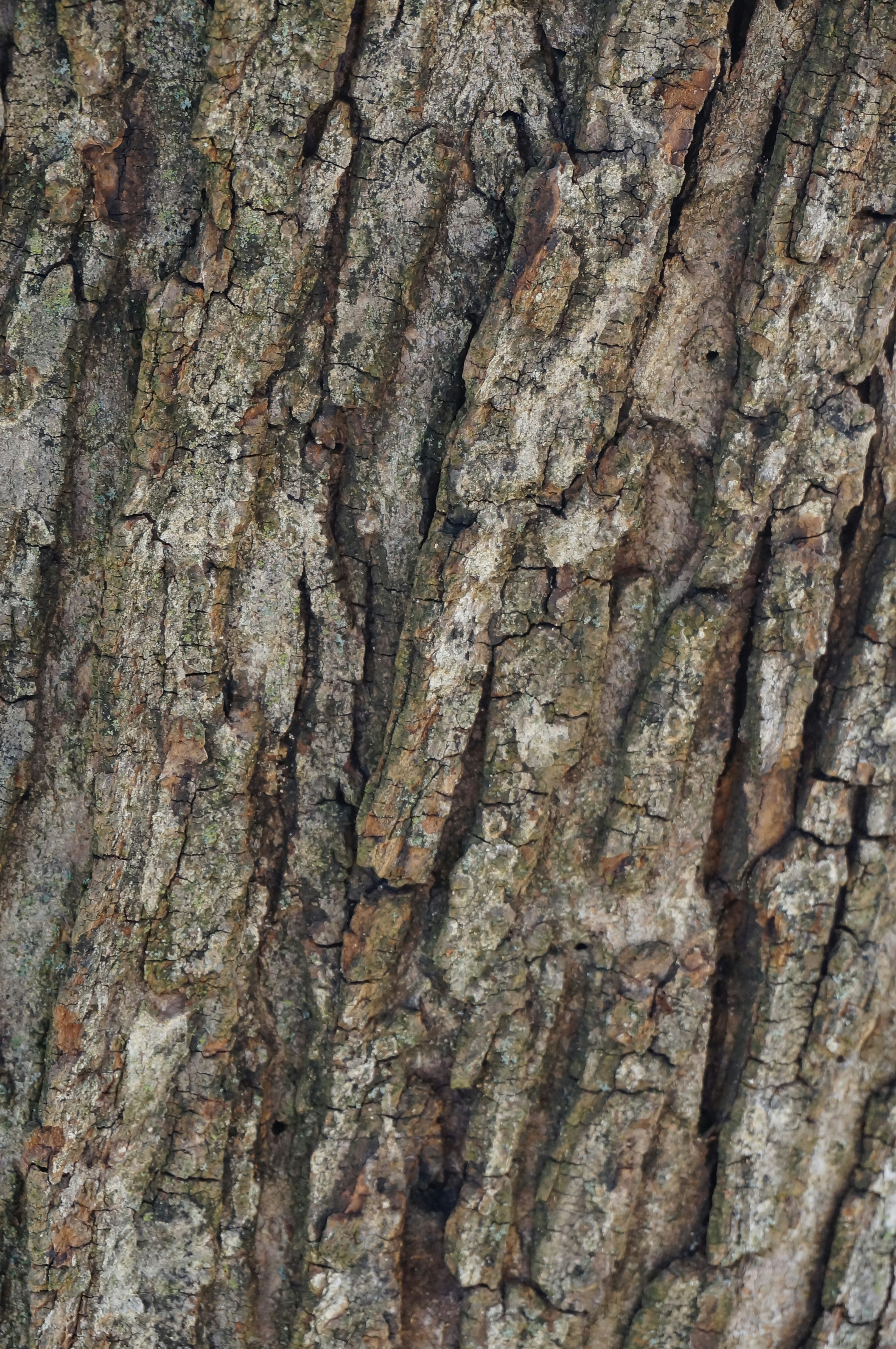 Photo by sugargirl333