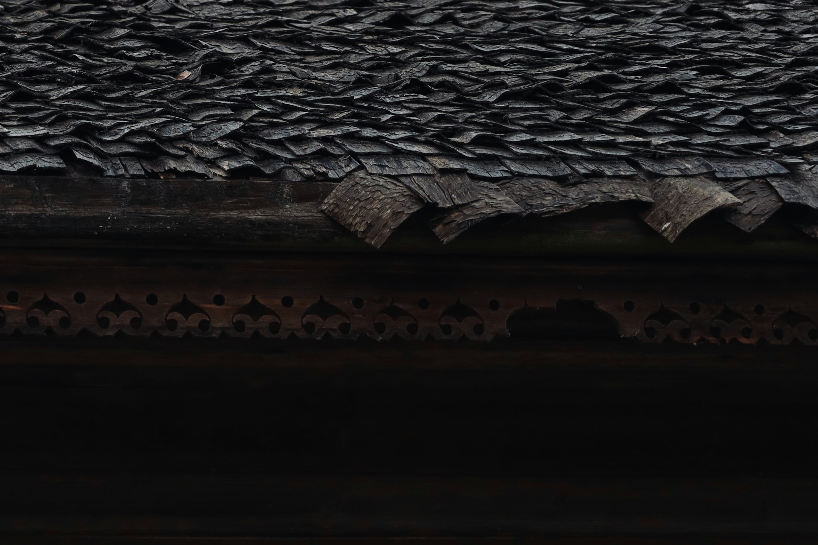 Photo by took_a_snap