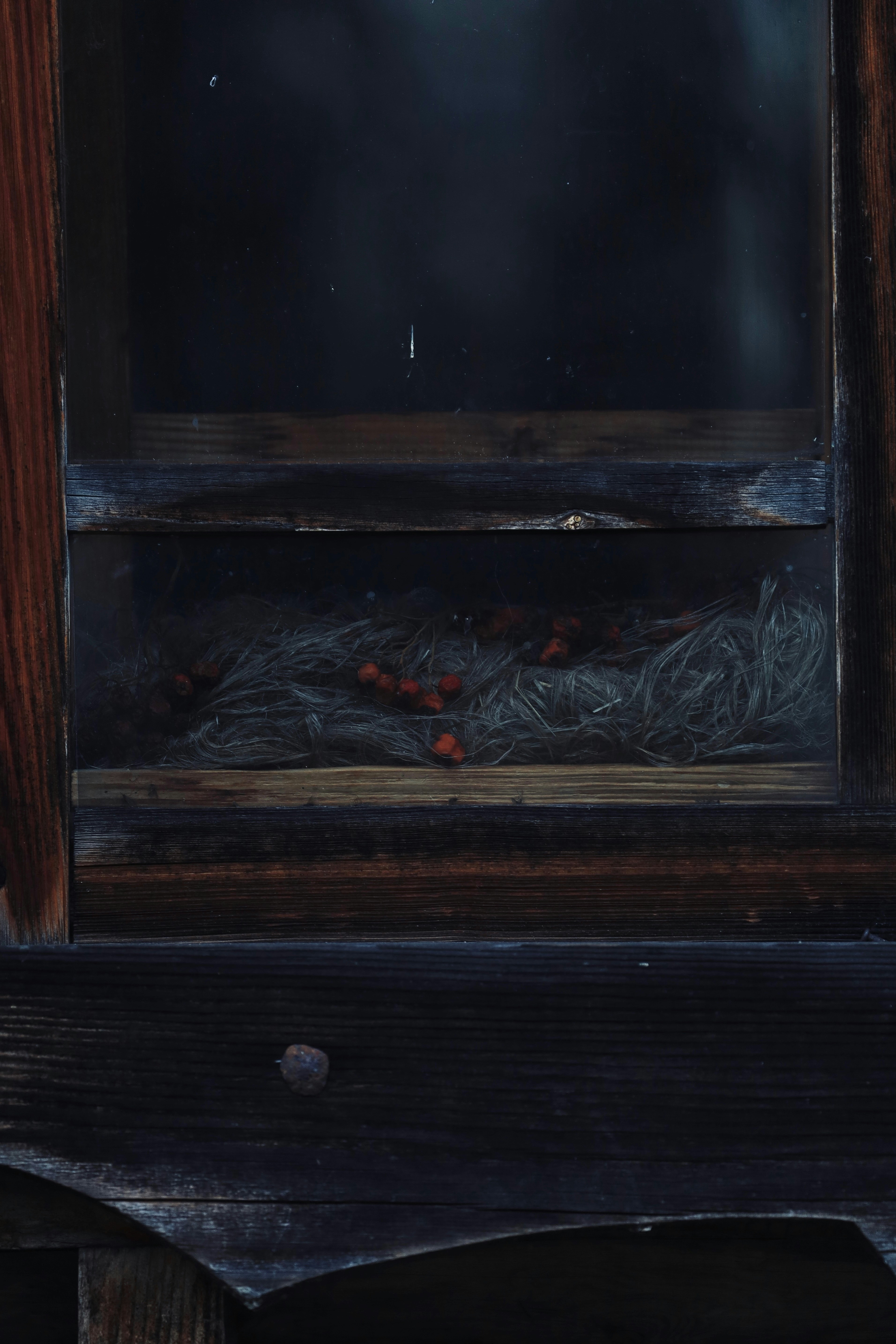 Nest mit roten Beeren in Holzstruktur