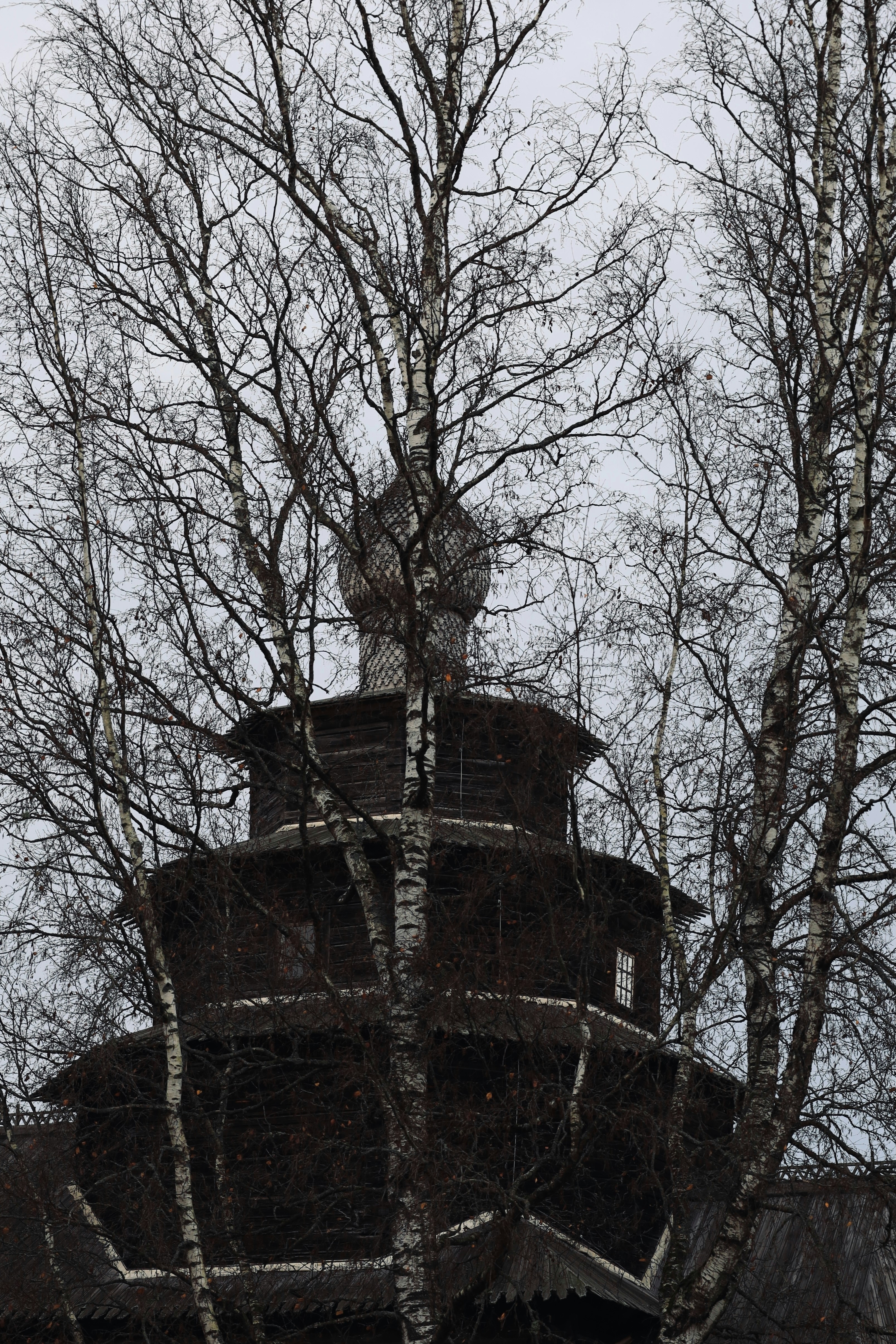 Hölzerne Kirchenkuppel durch kahle Birken gesehen.