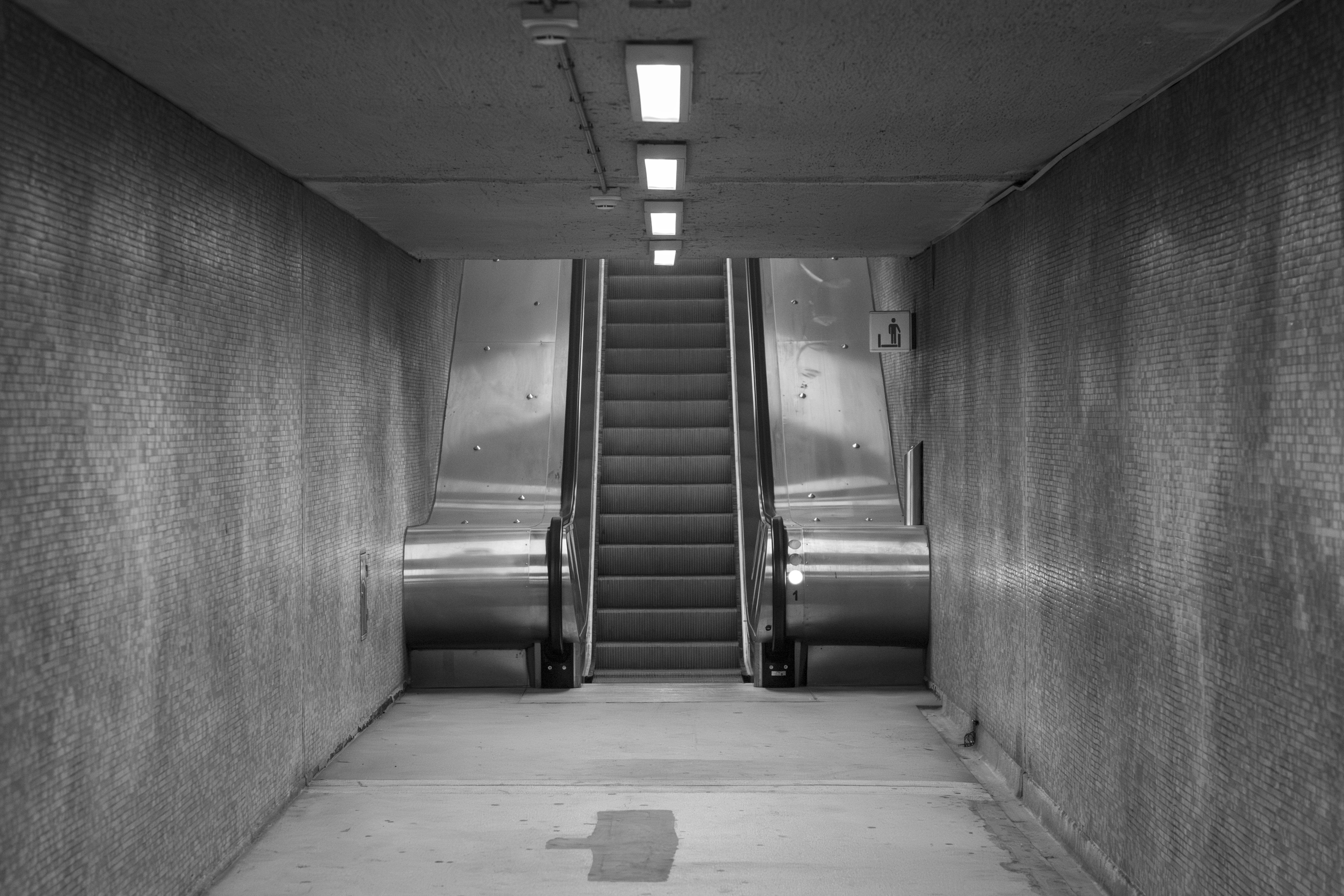 Photo by filipenobre