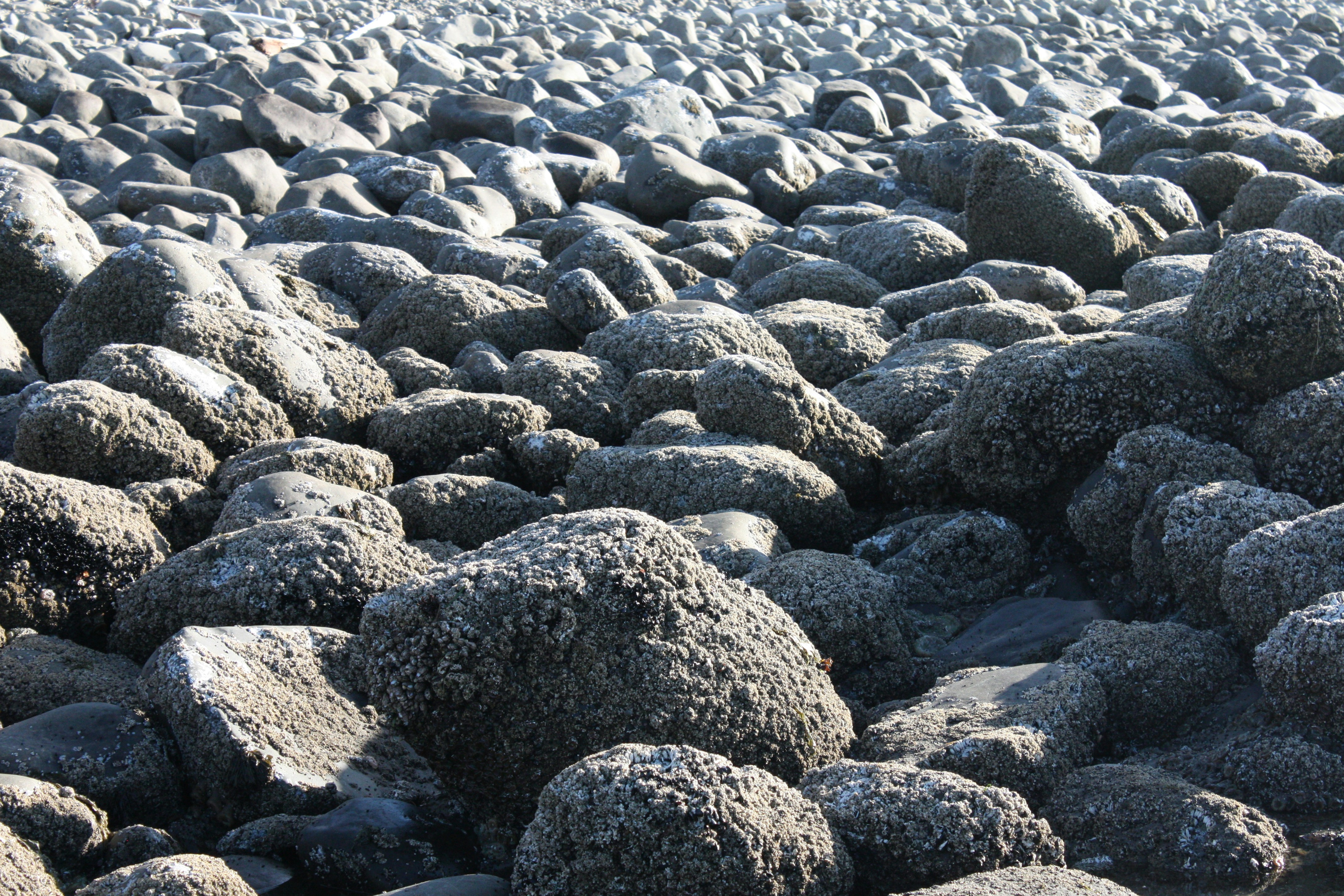 Photo by mangowastaken