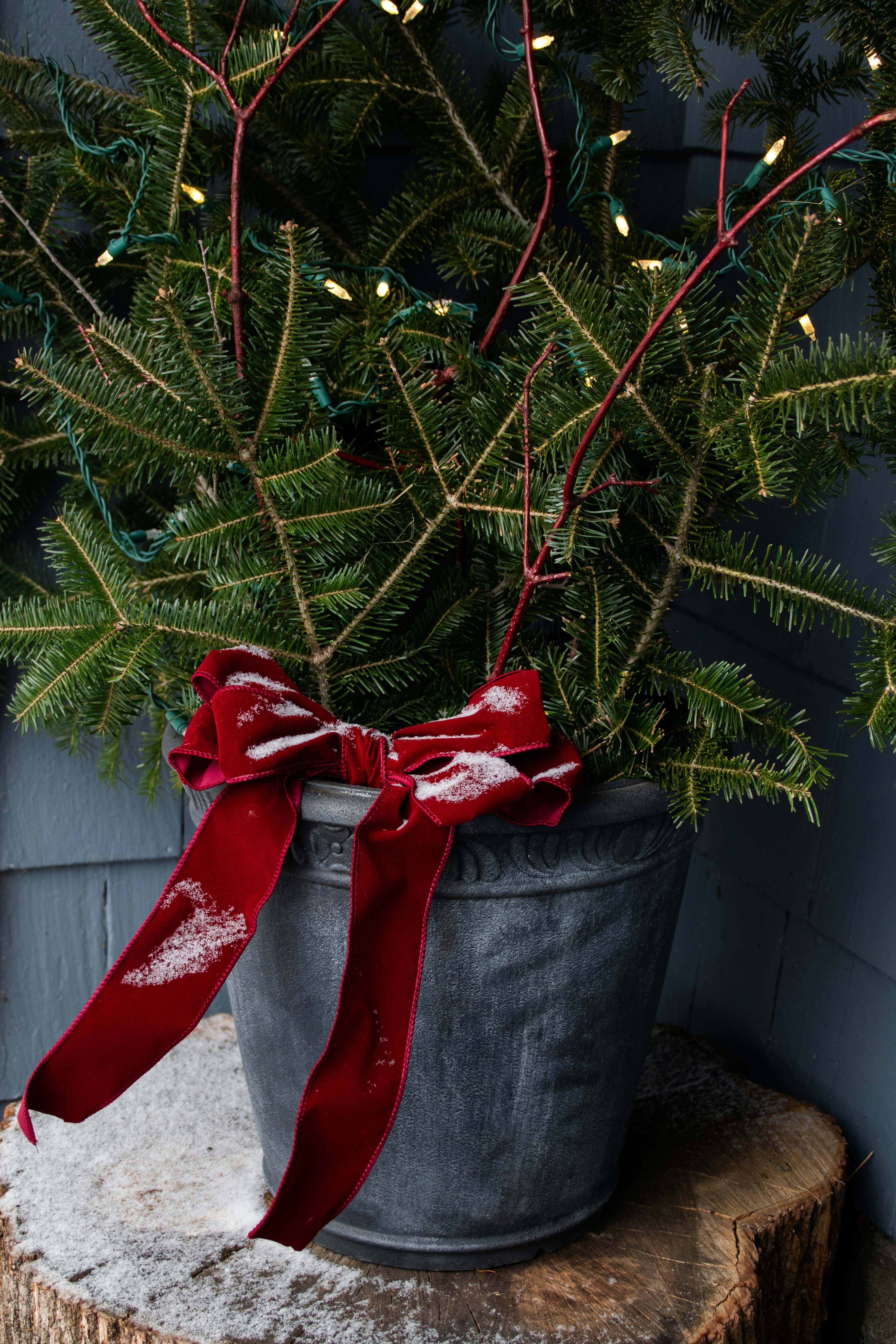 Photo by lydia_norstad