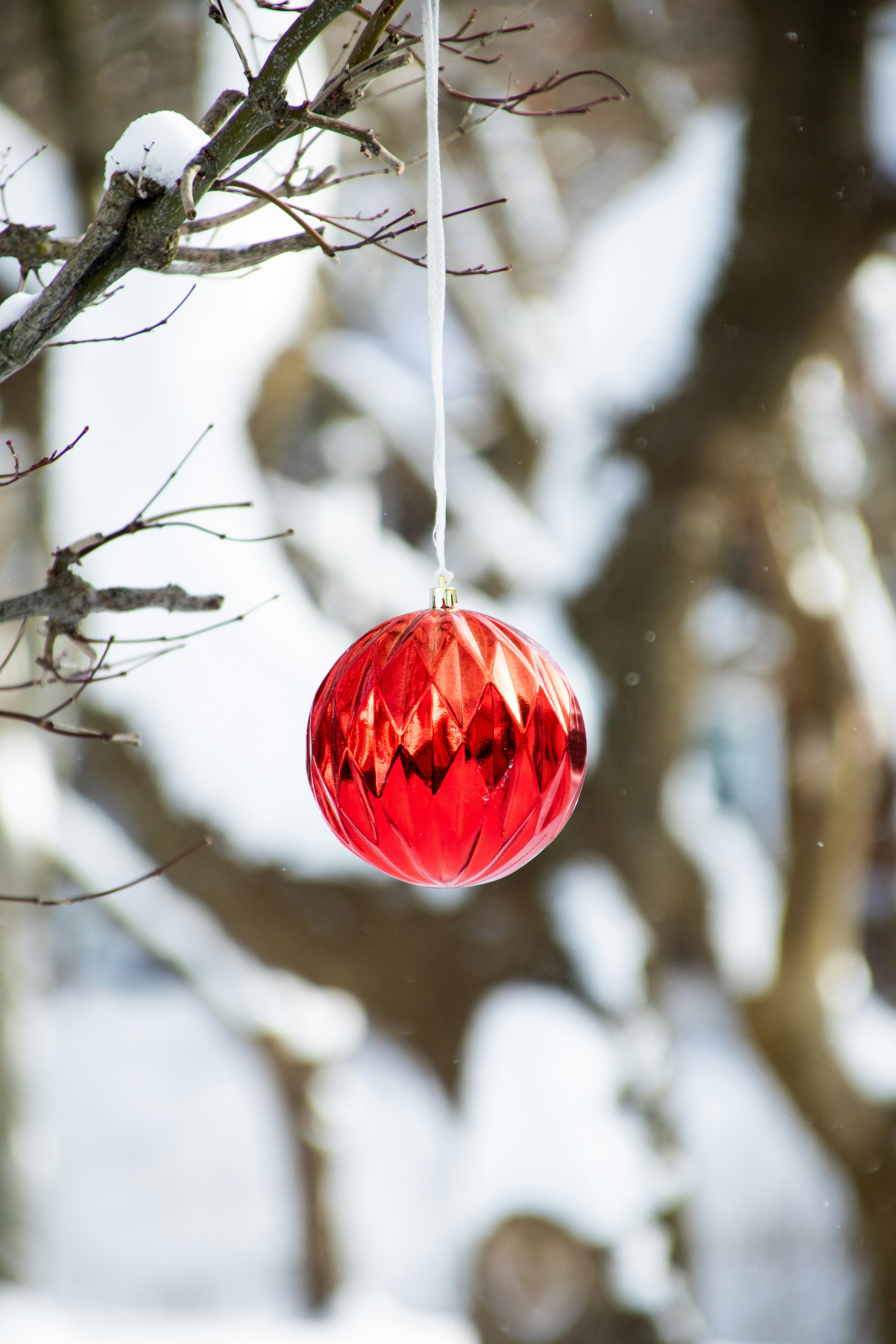 Red bauble hanging from a snow-covered tree branch