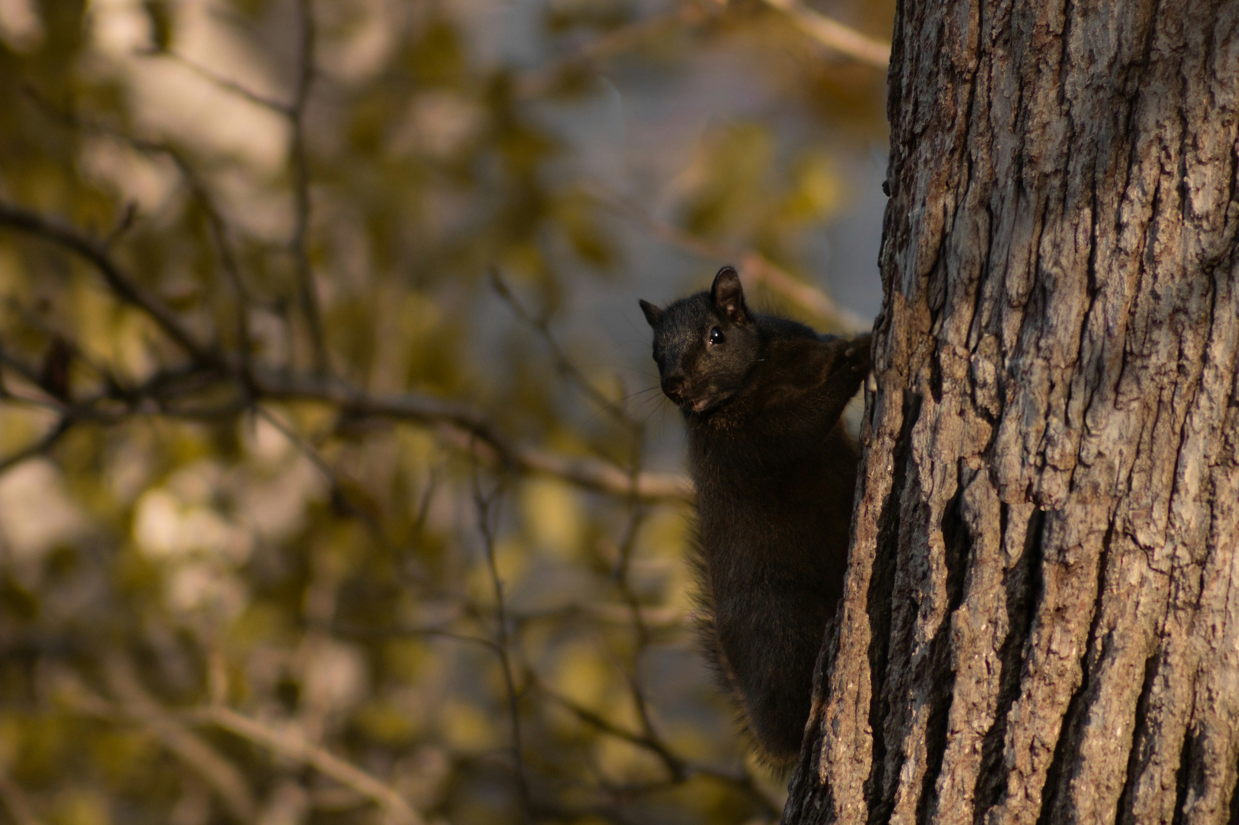 Photo by jack_forrest