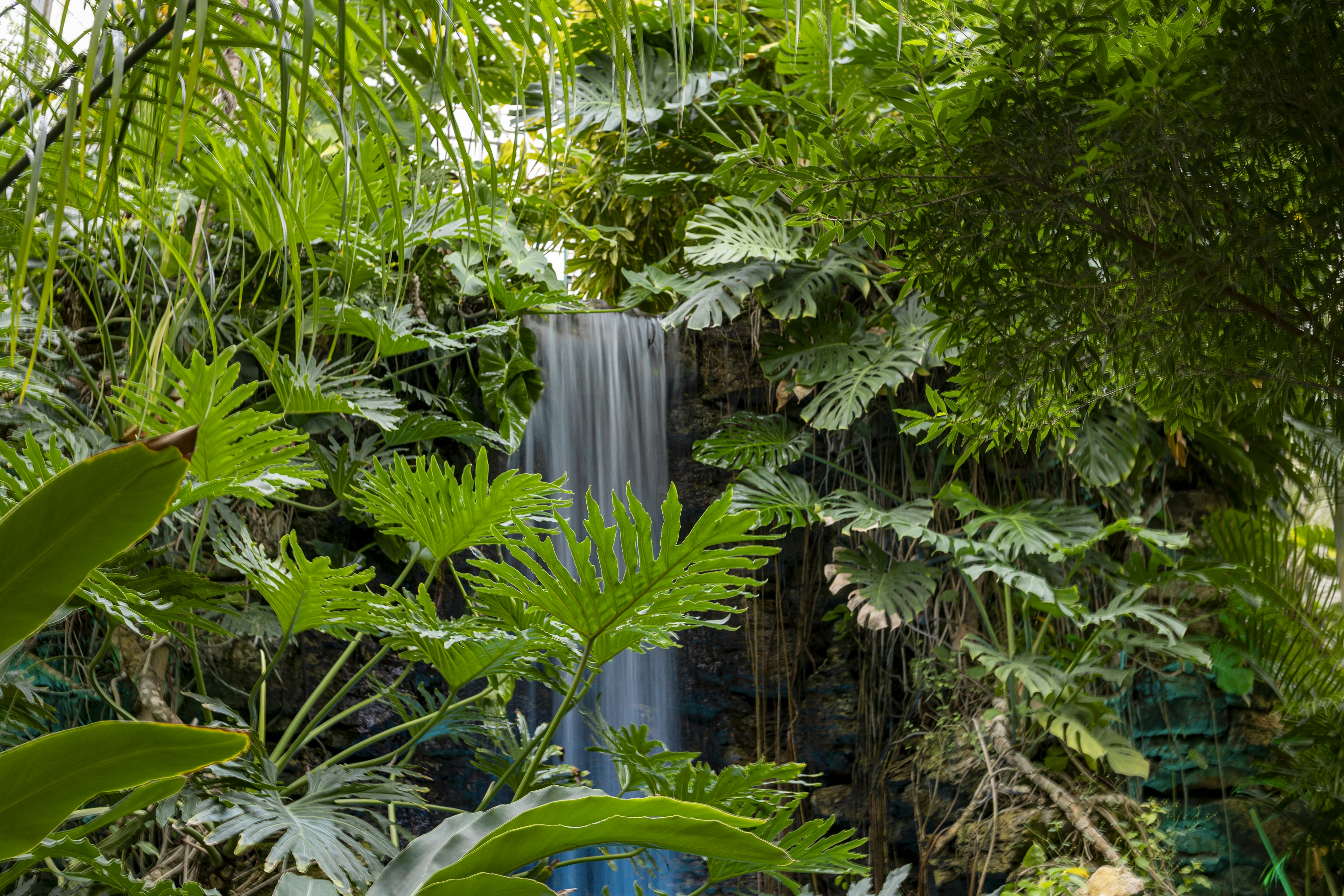 Jungle waterfall