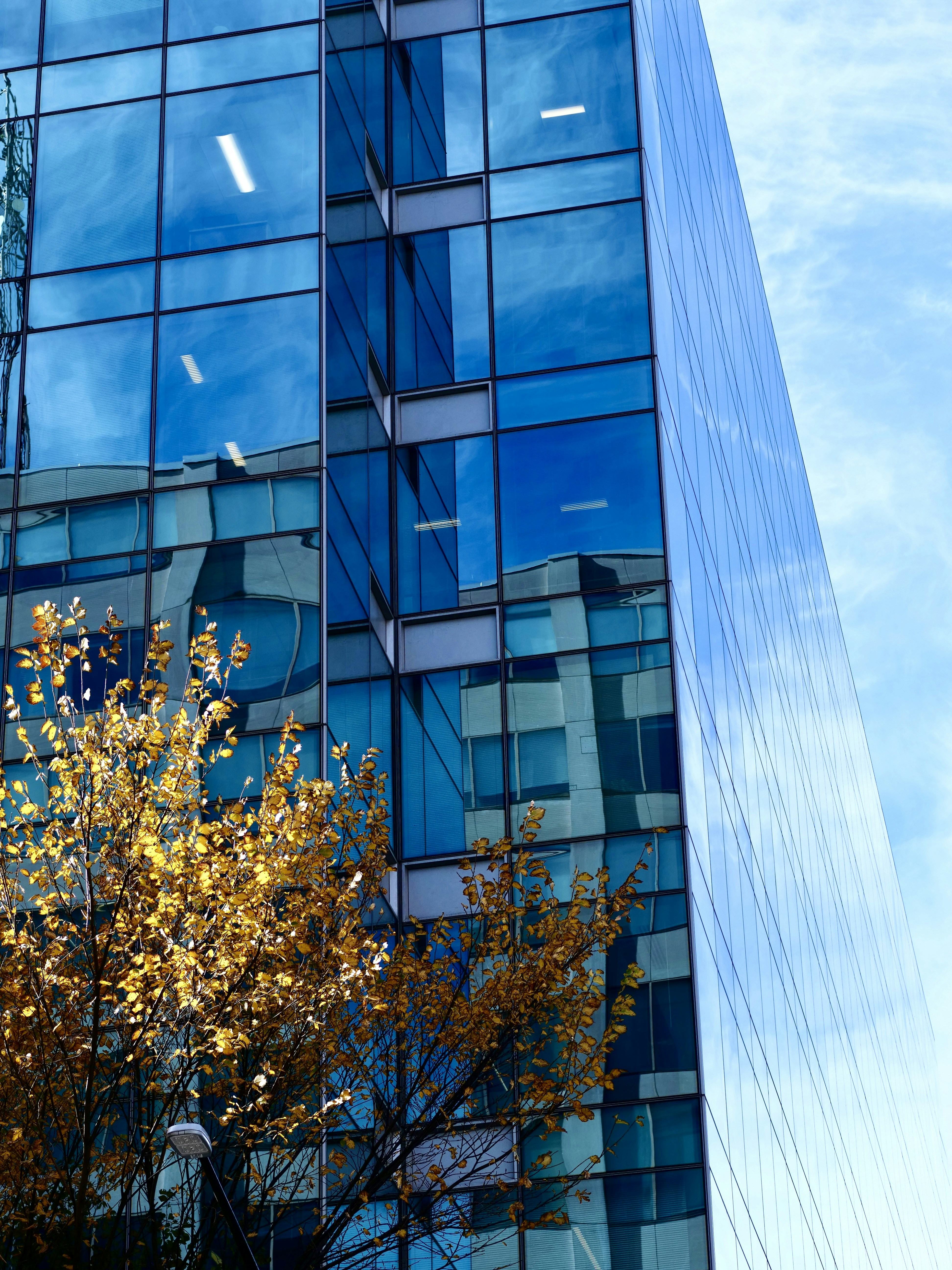 Photo by sschusterphotoart