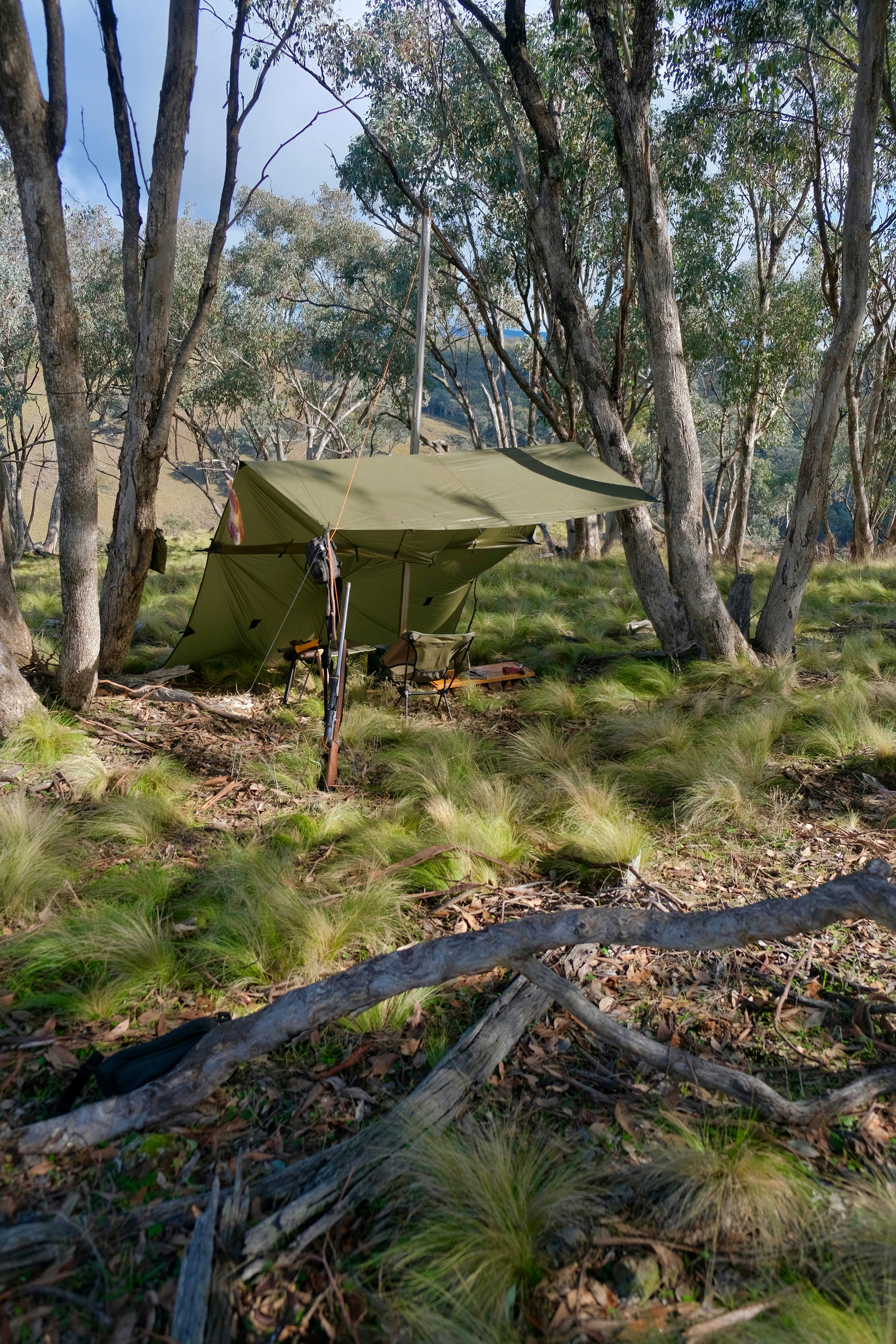 A campsite with a tarp shelter in a forest