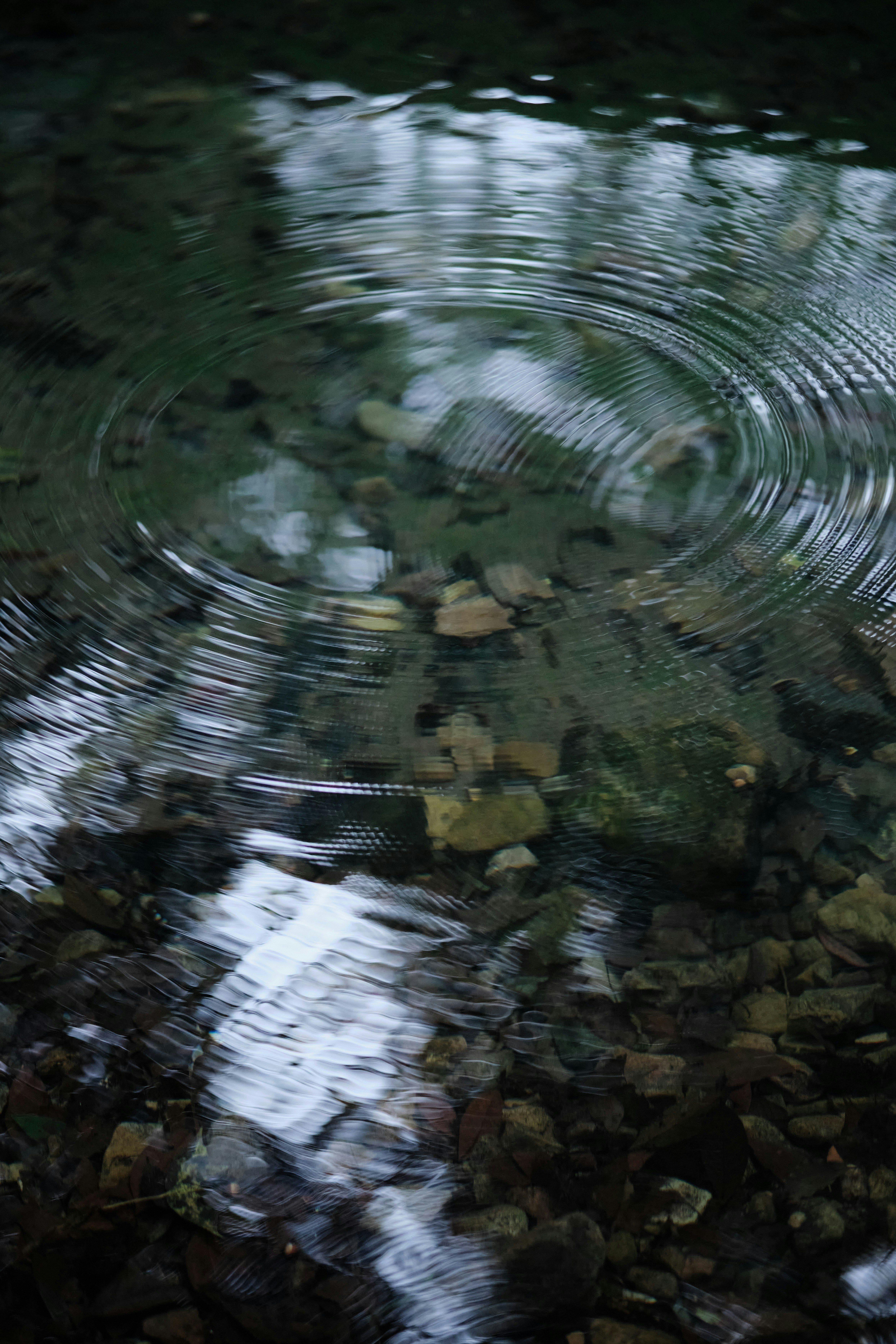 Photo by seelean