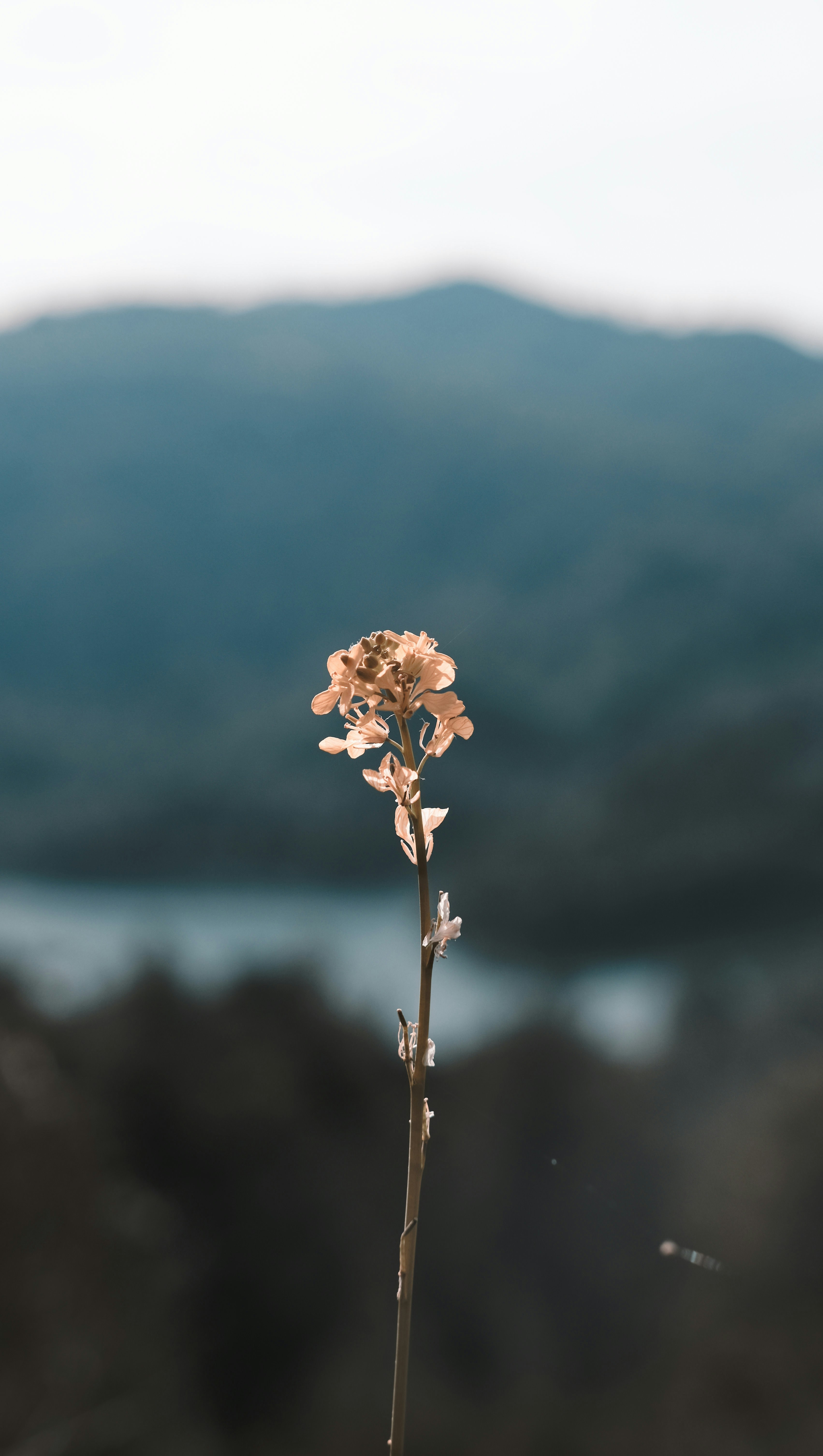Photo by yukophotography