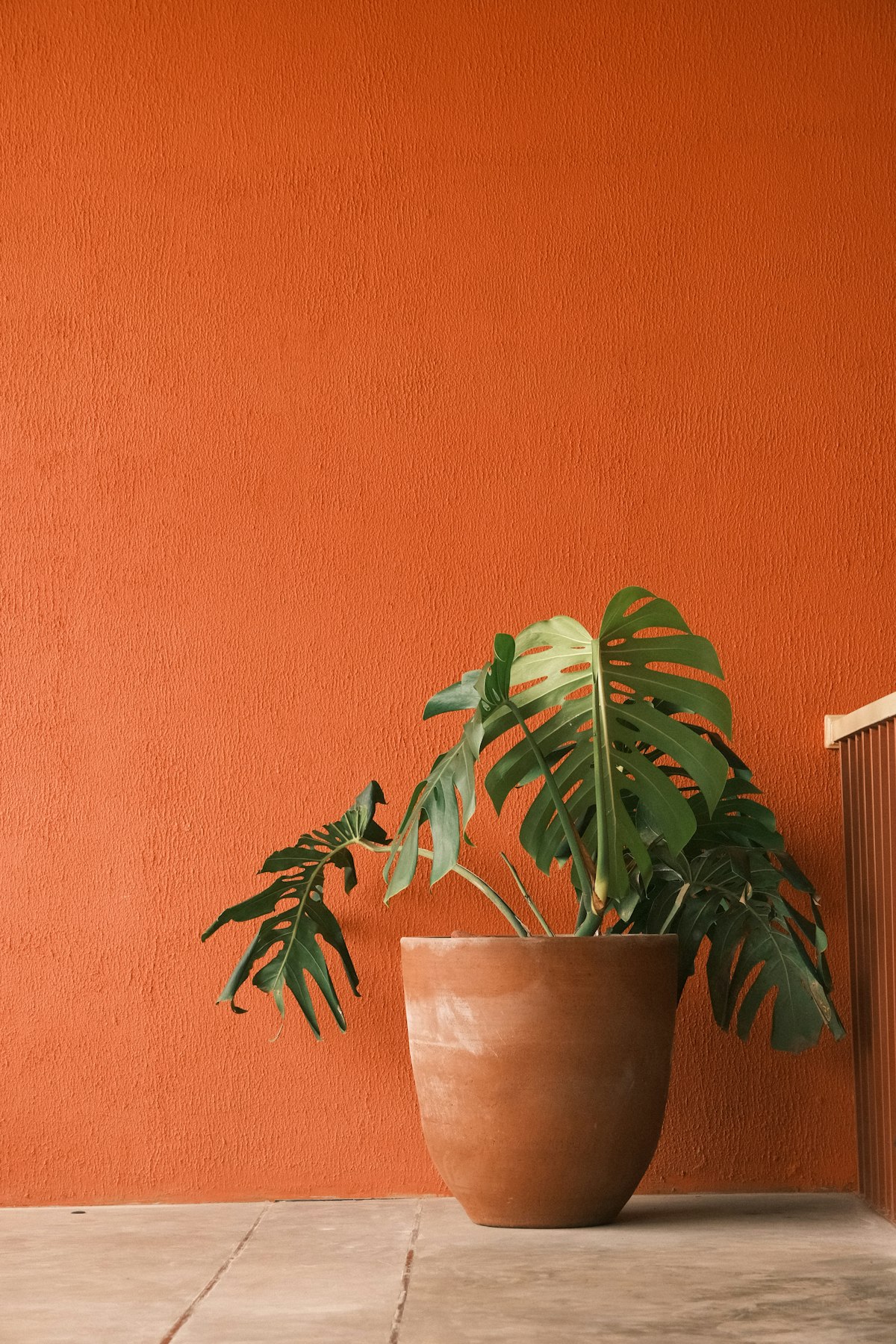 Cores de 2026: Color Drenching, Tons Terrosos e o Que Cada Cor Atrai nos Interiores