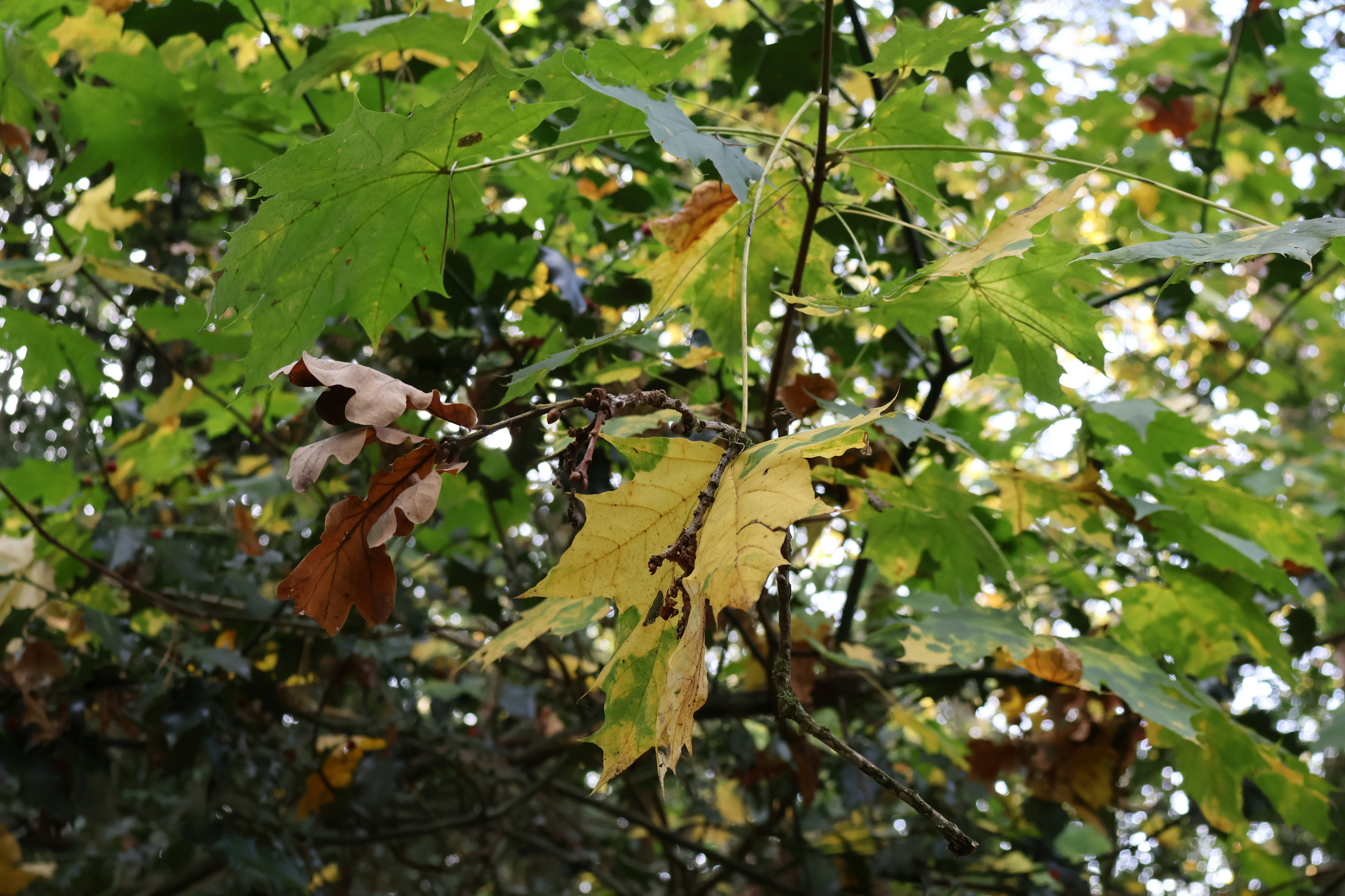 Photo by tanyabarrow