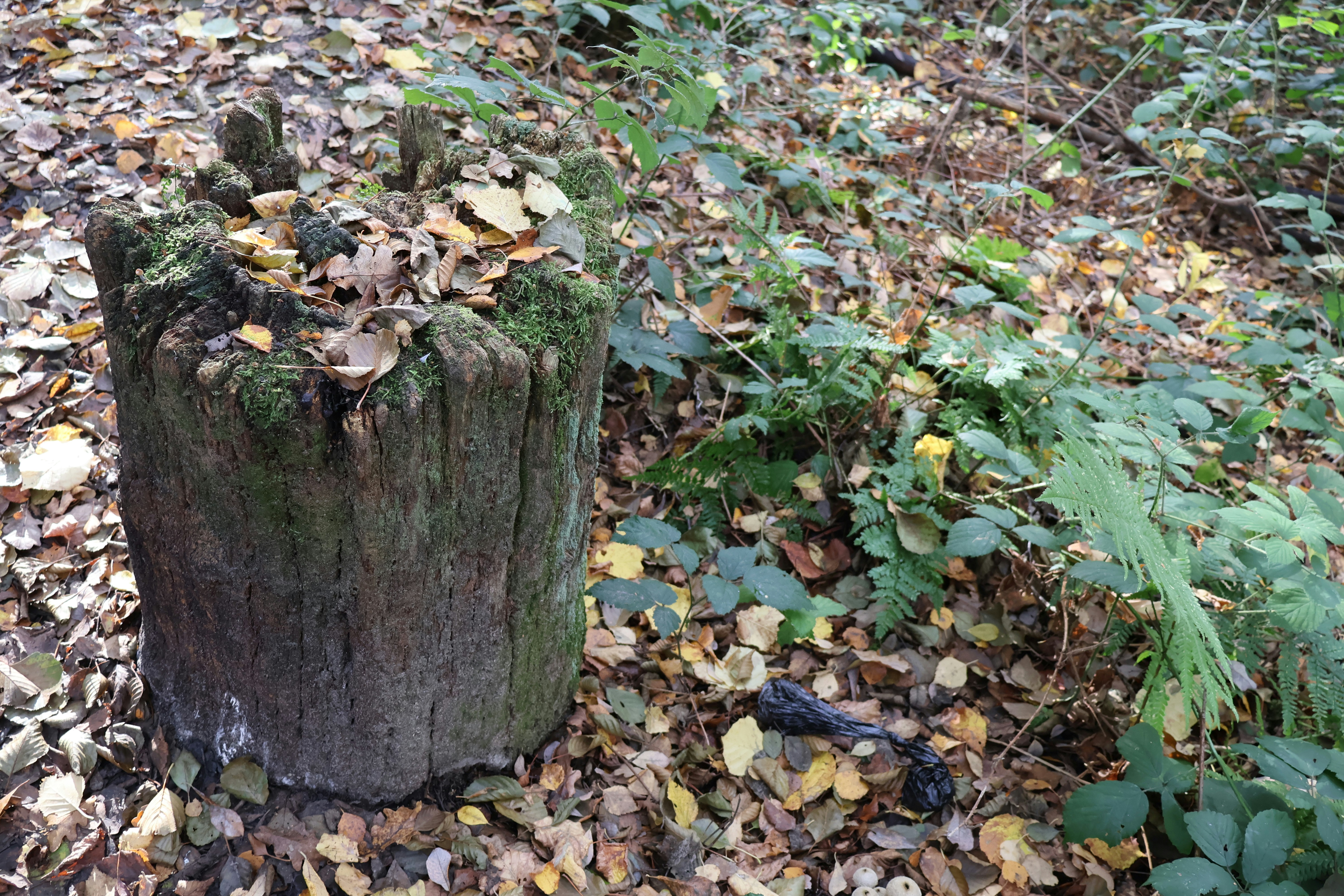 Photo by tanyabarrow