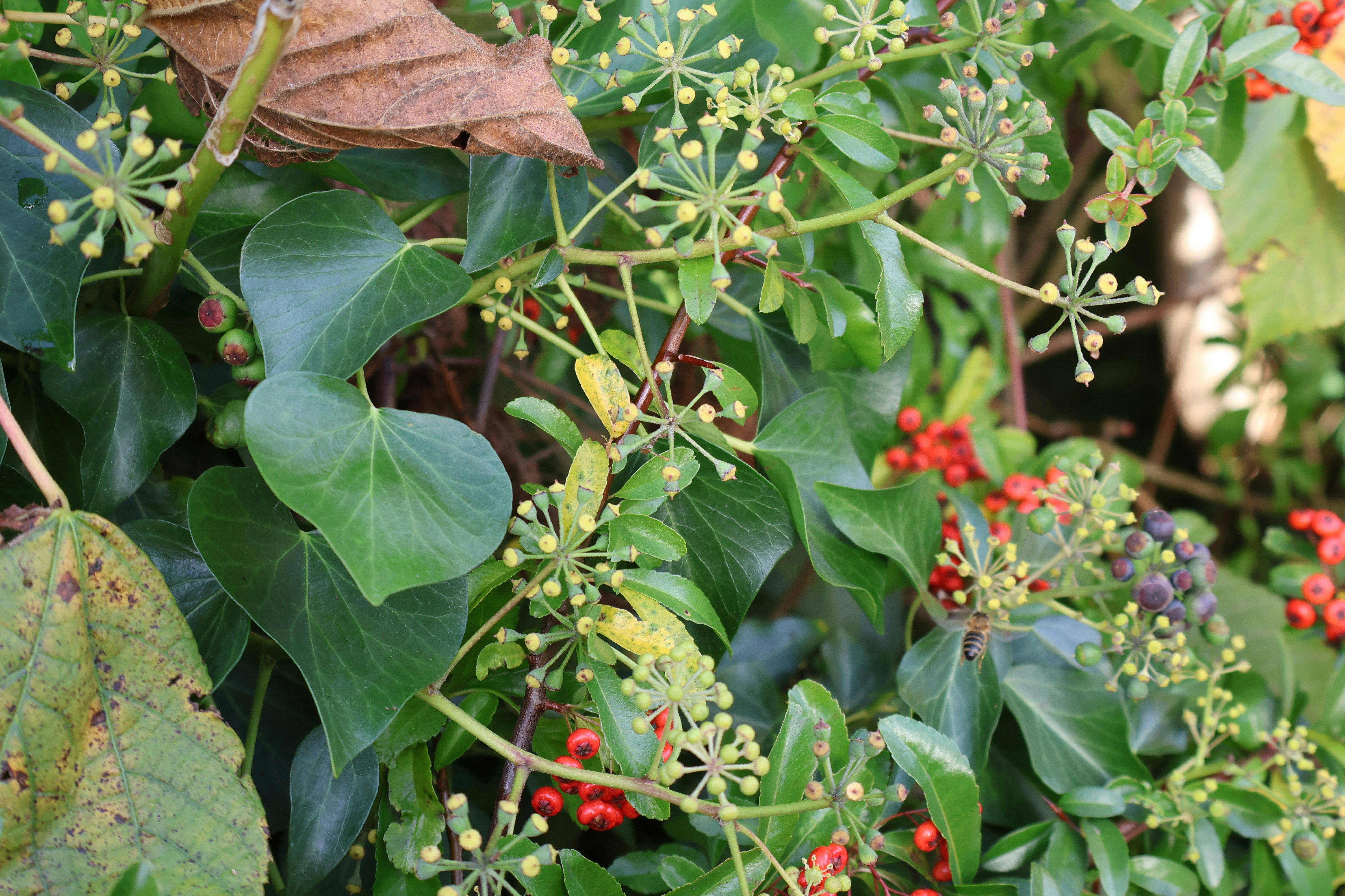 Photo by tanyabarrow