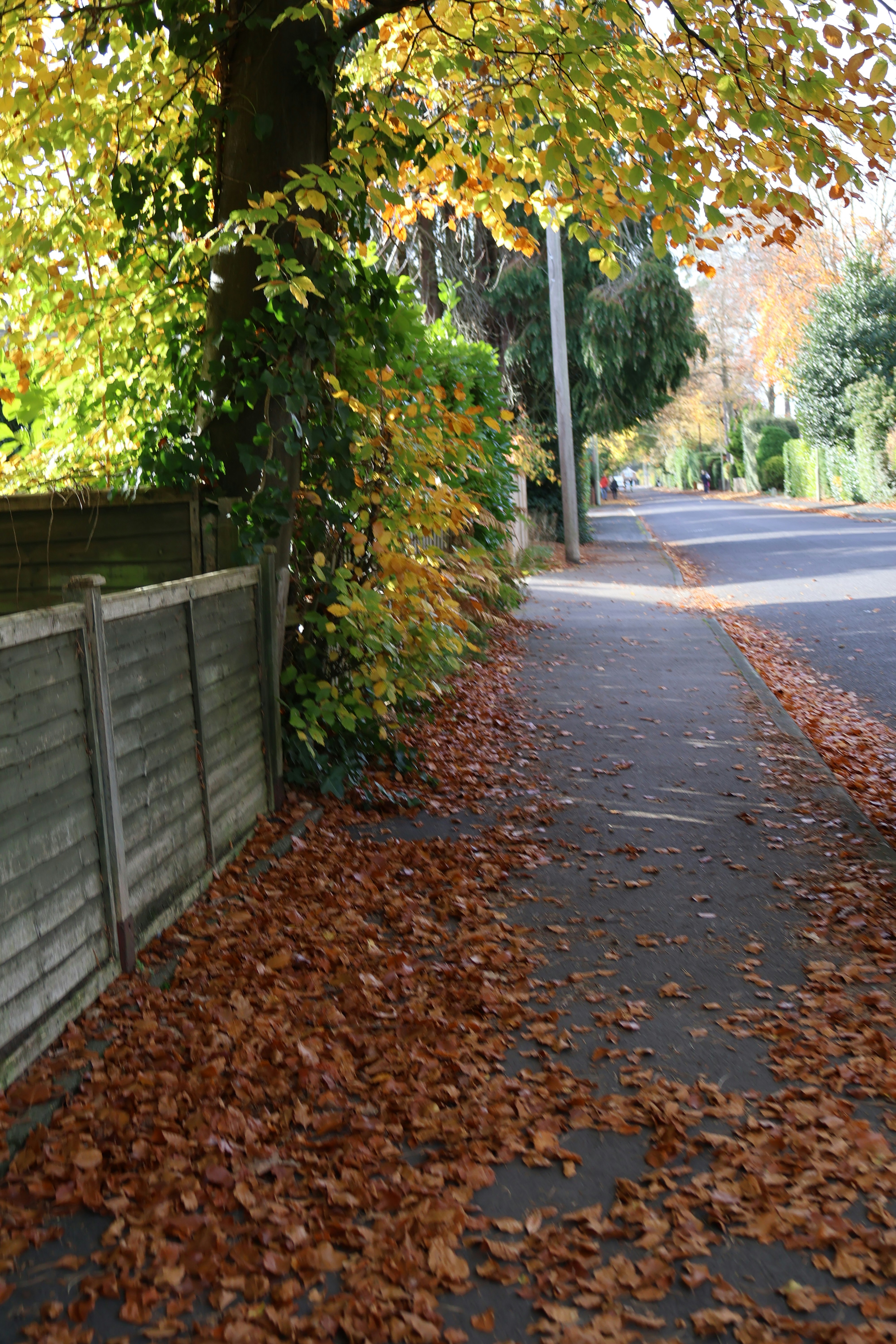 Photo by tanyabarrow