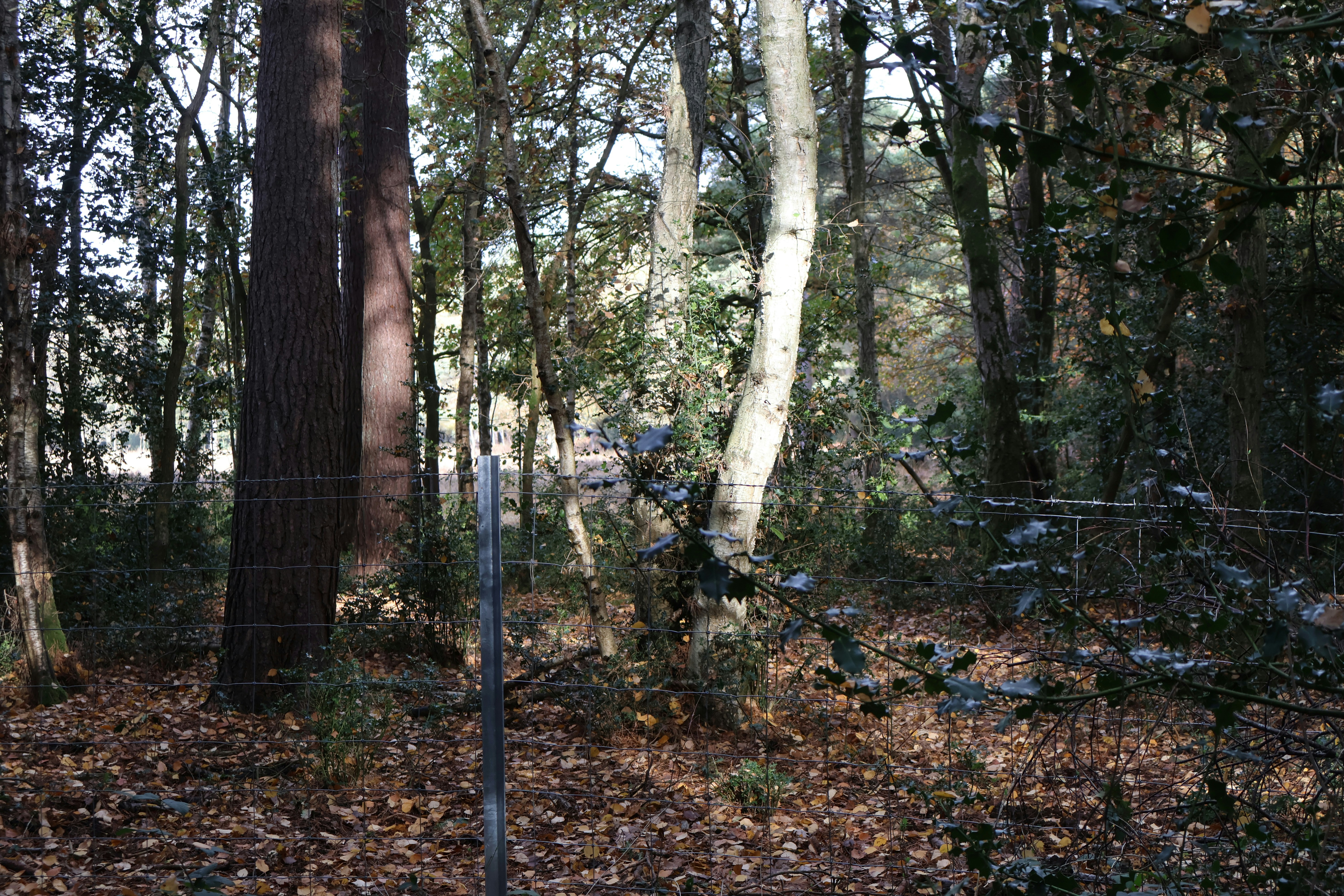 Photo by tanyabarrow