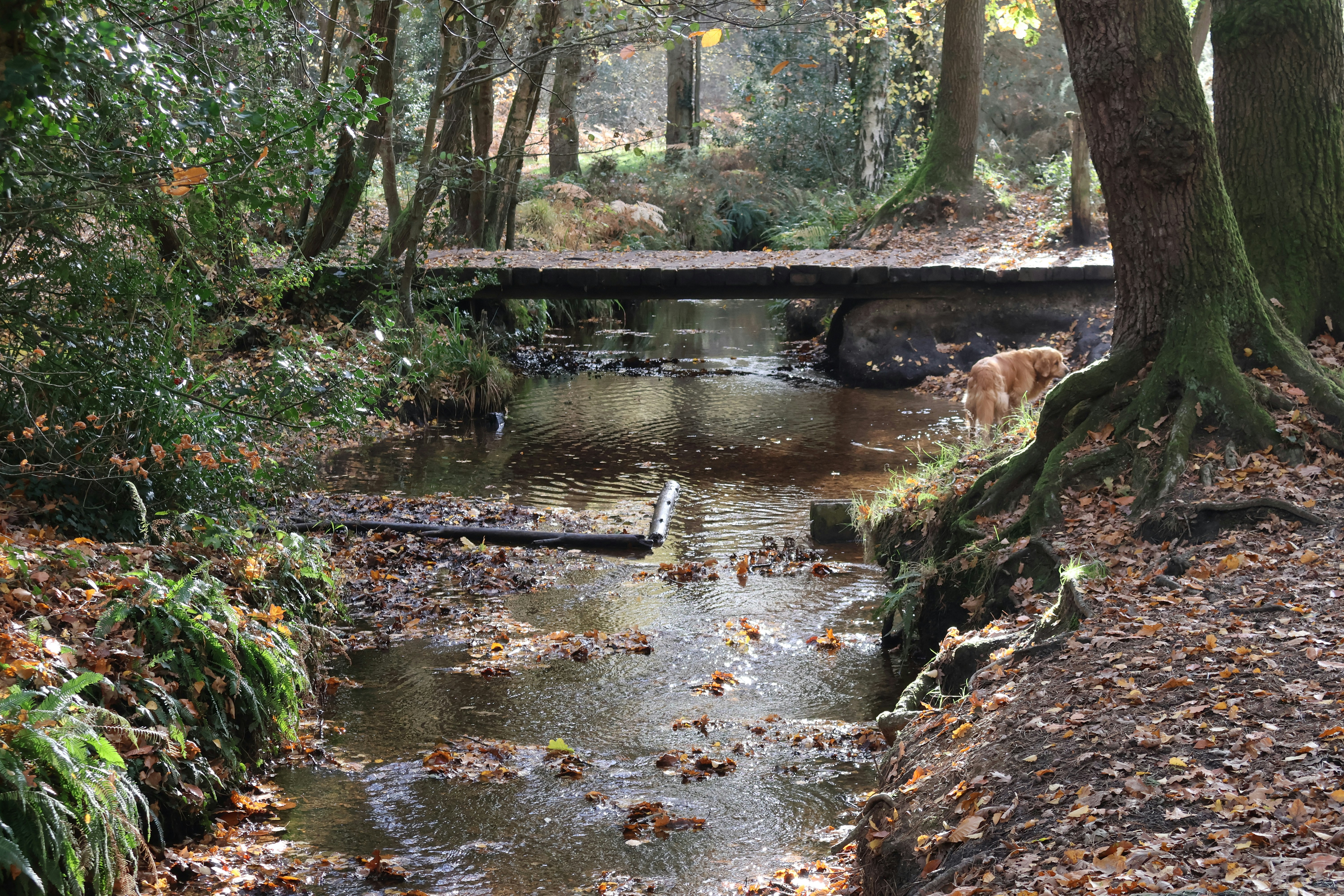 Photo by tanyabarrow