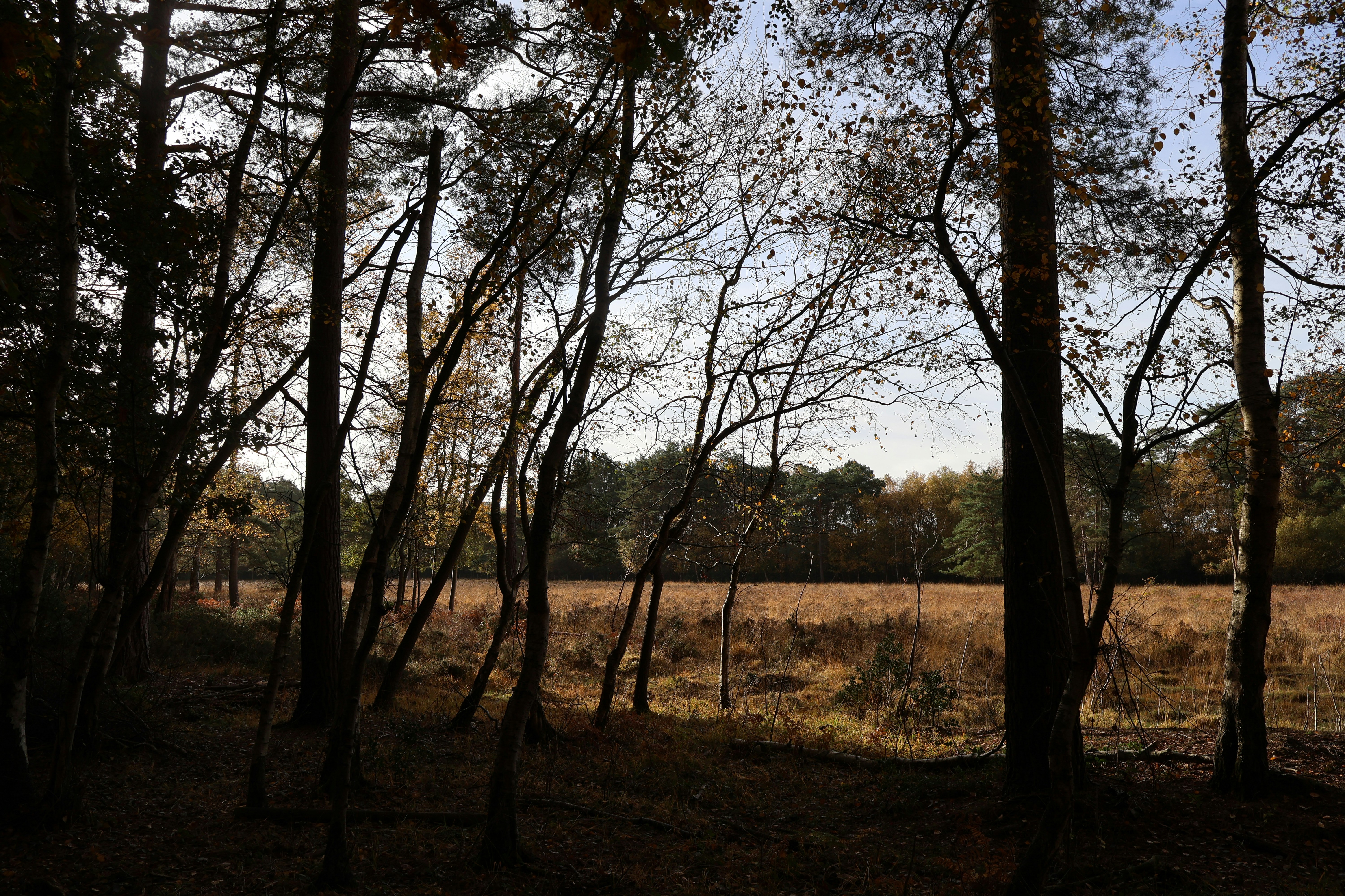 Photo by tanyabarrow