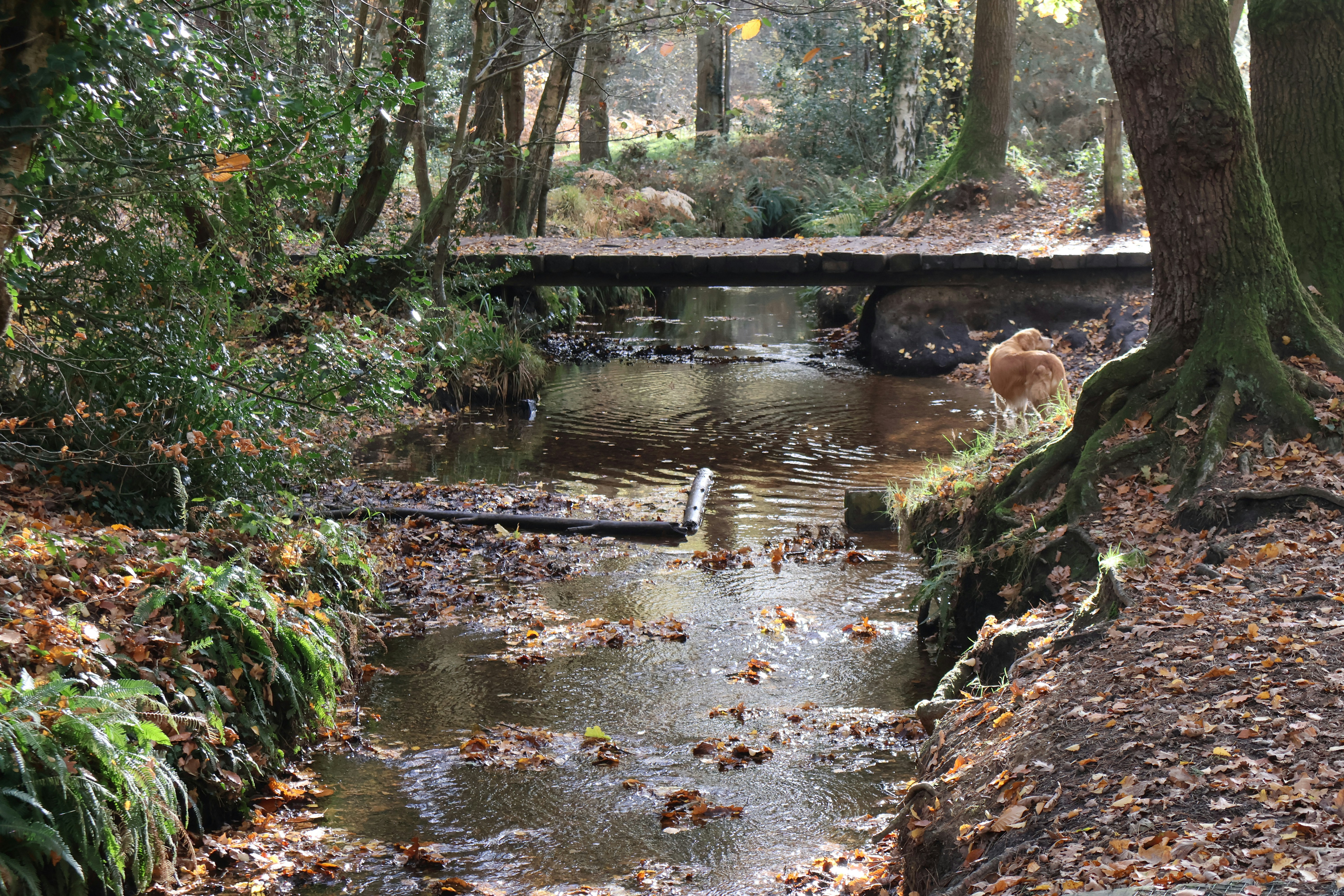 Photo by tanyabarrow