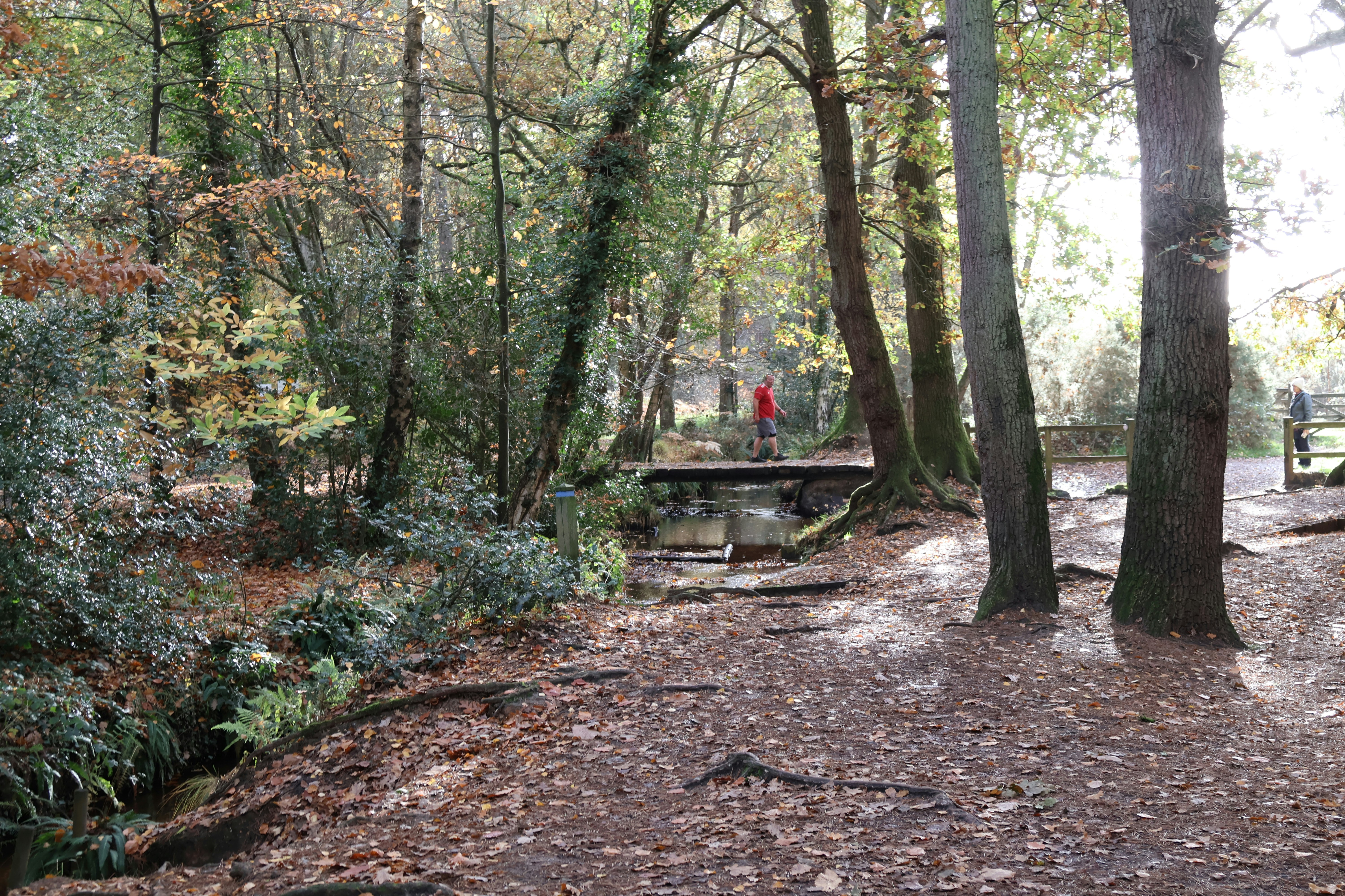 Southern Woods Park