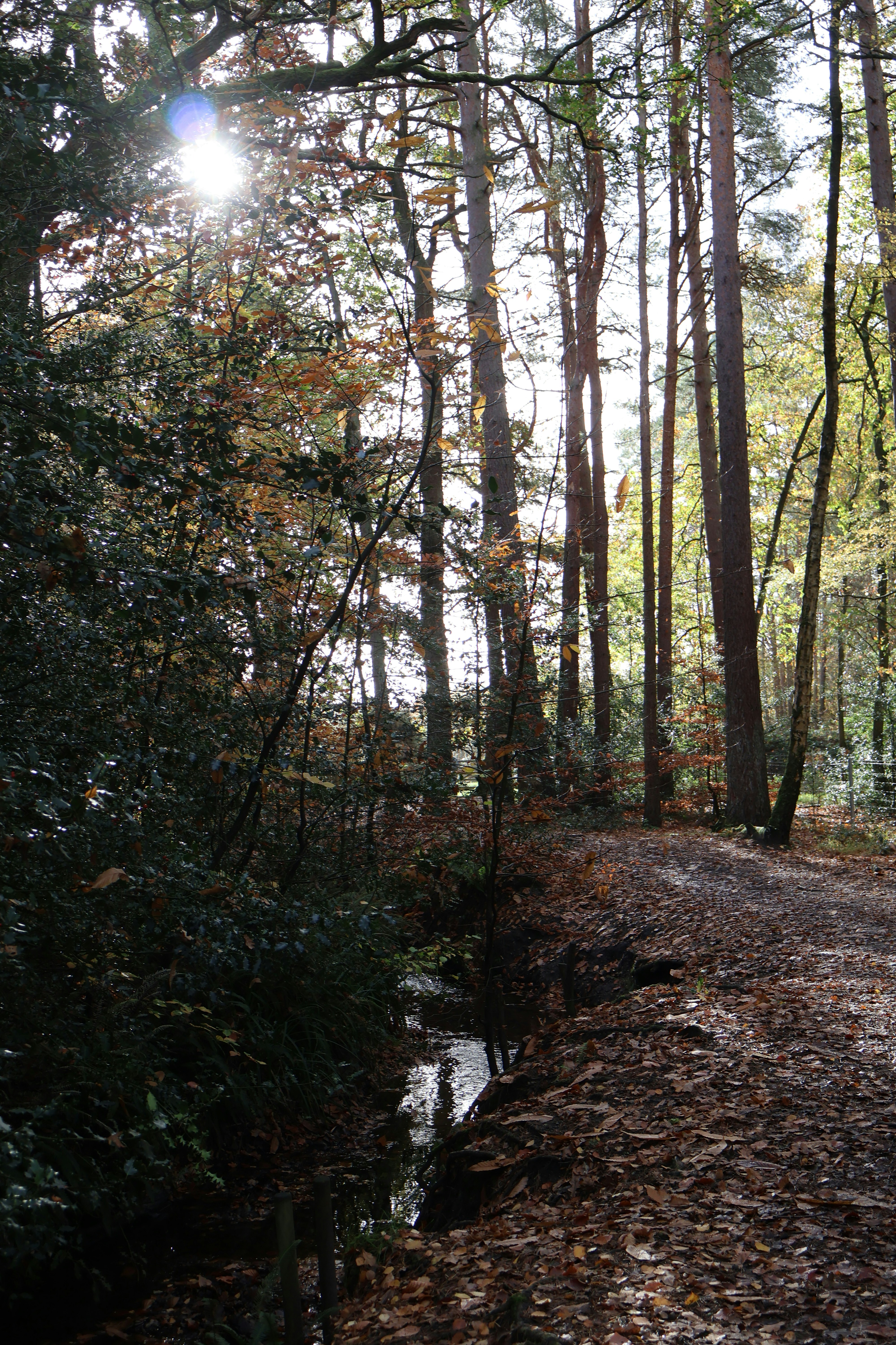 Photo by tanyabarrow