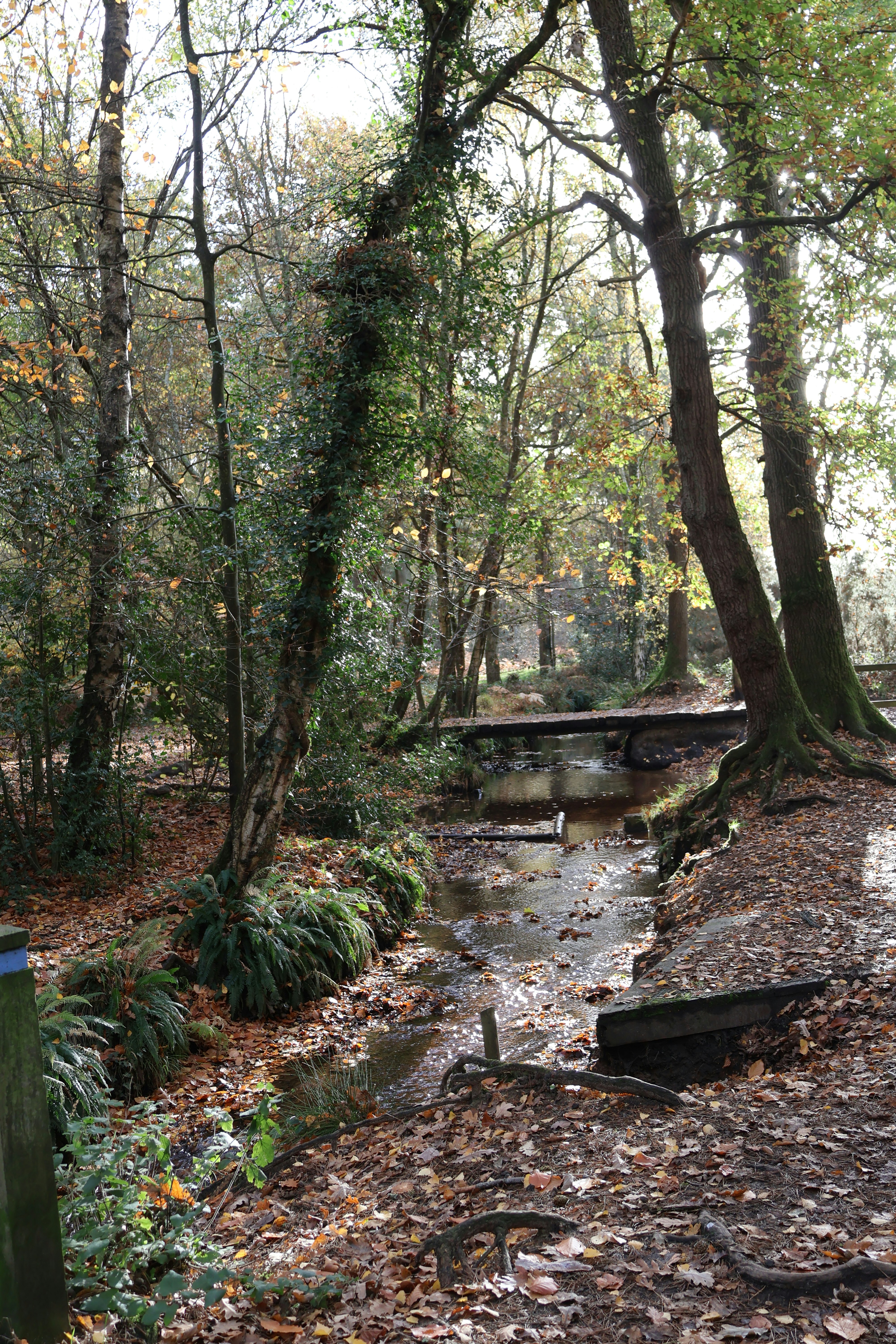 Photo by tanyabarrow