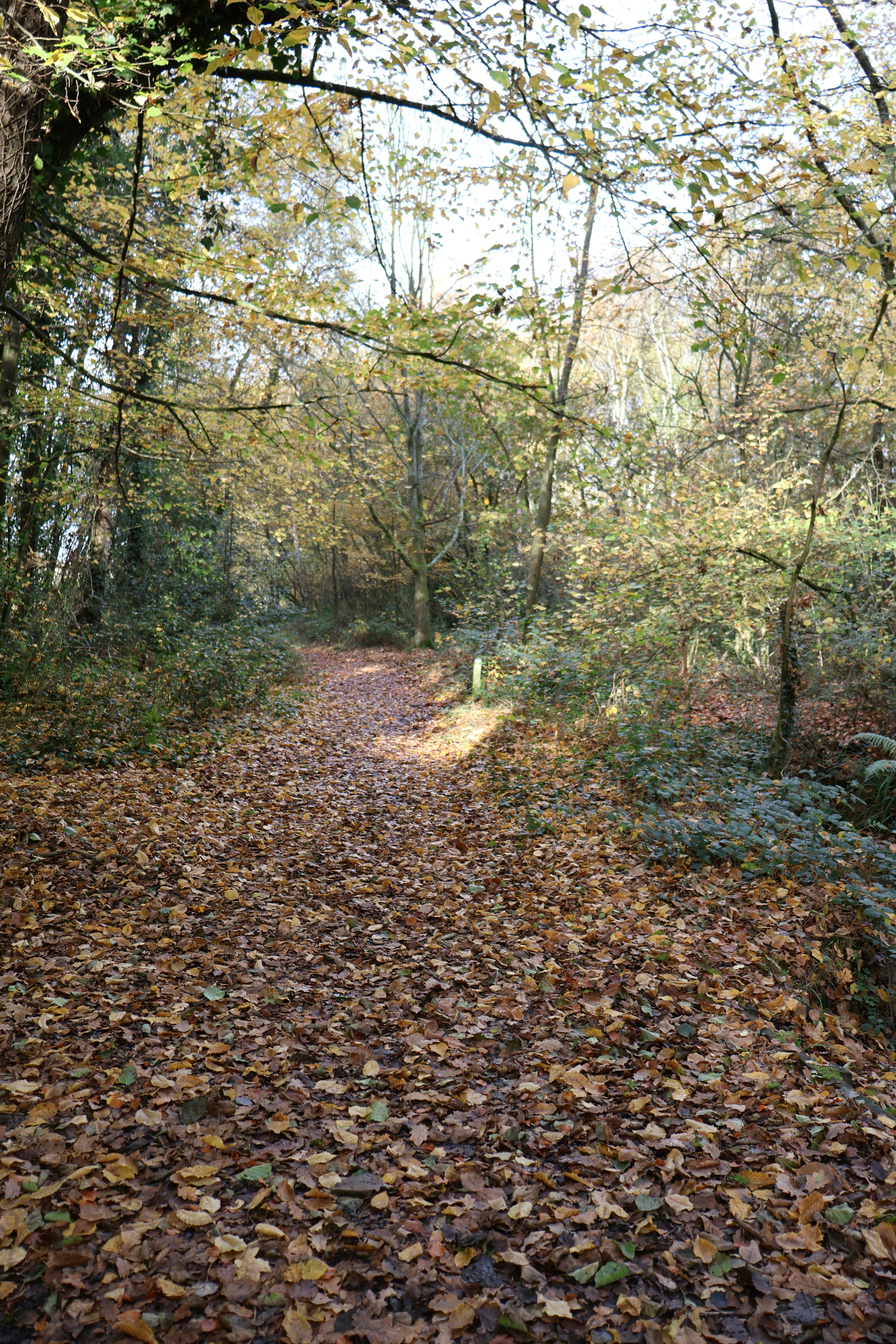 Photo by tanyabarrow