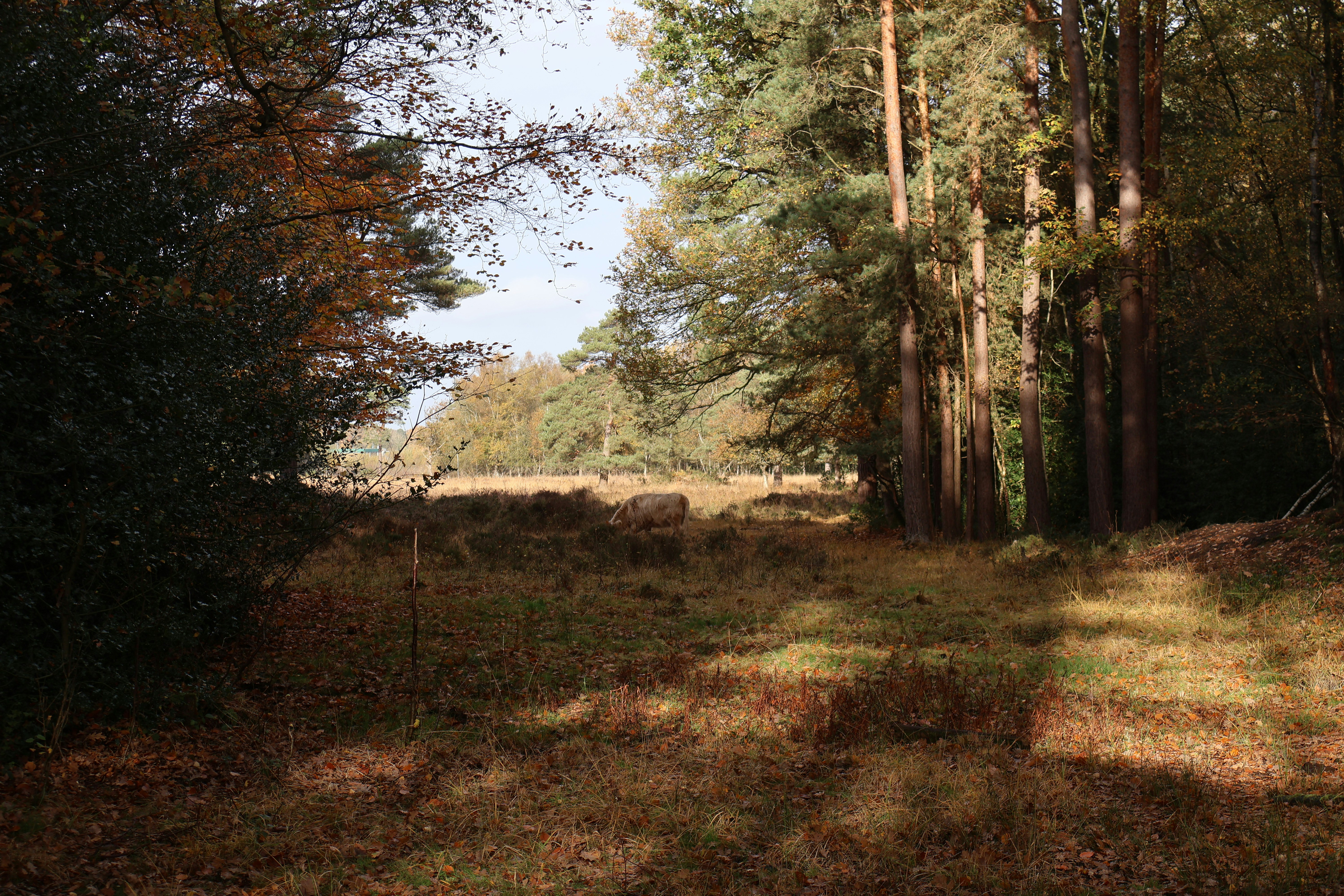 Photo by tanyabarrow