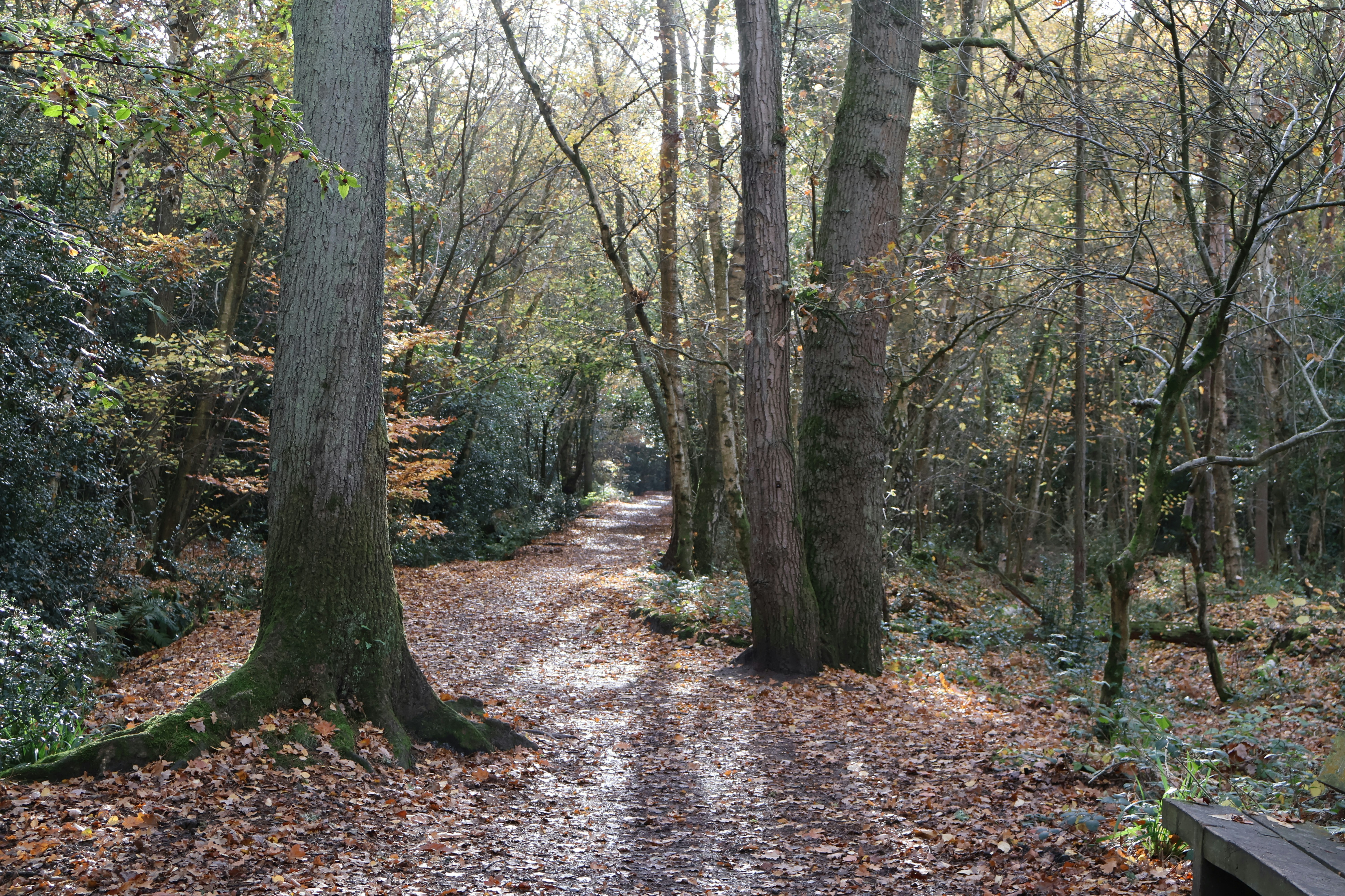 Photo by tanyabarrow