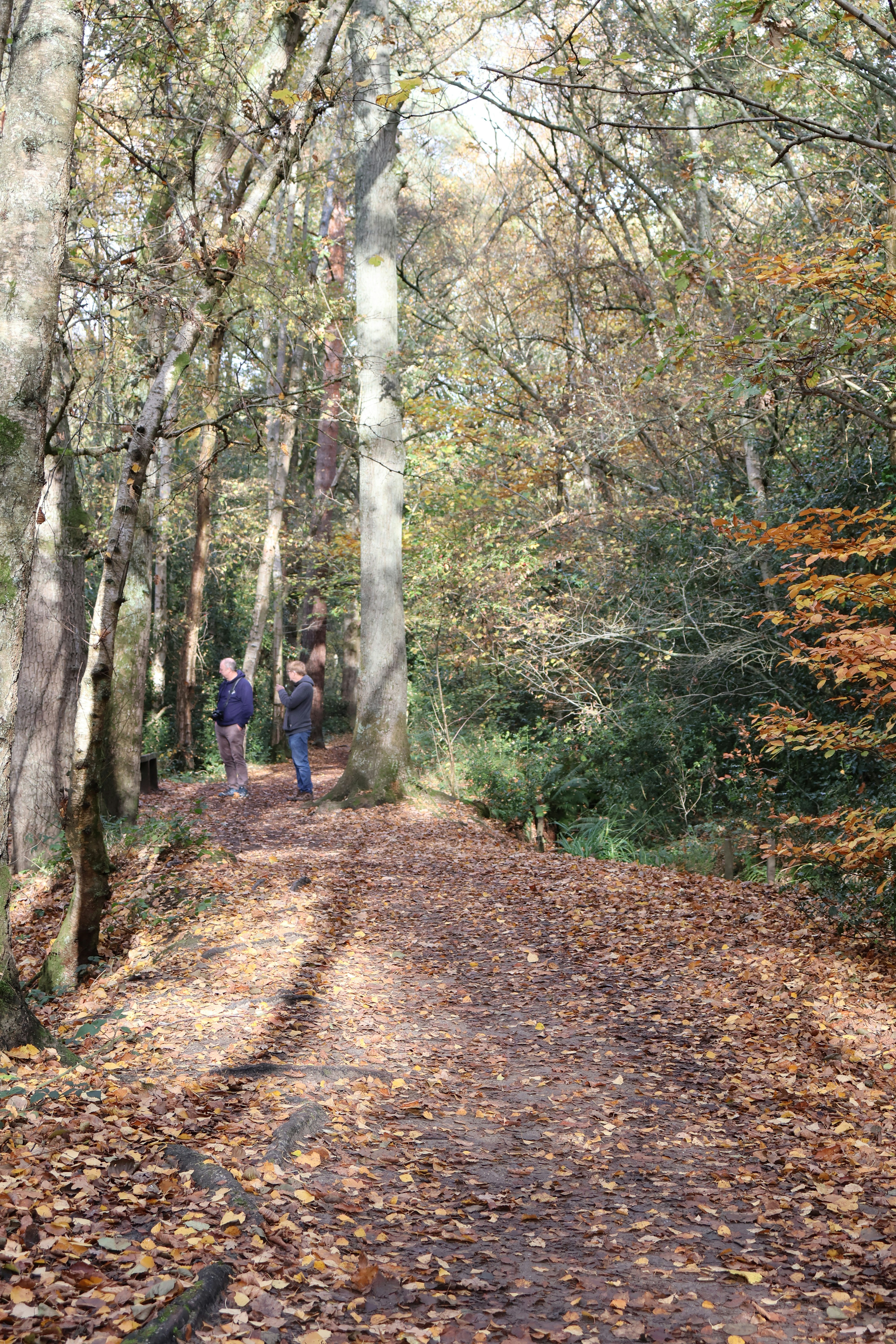 Photo by tanyabarrow