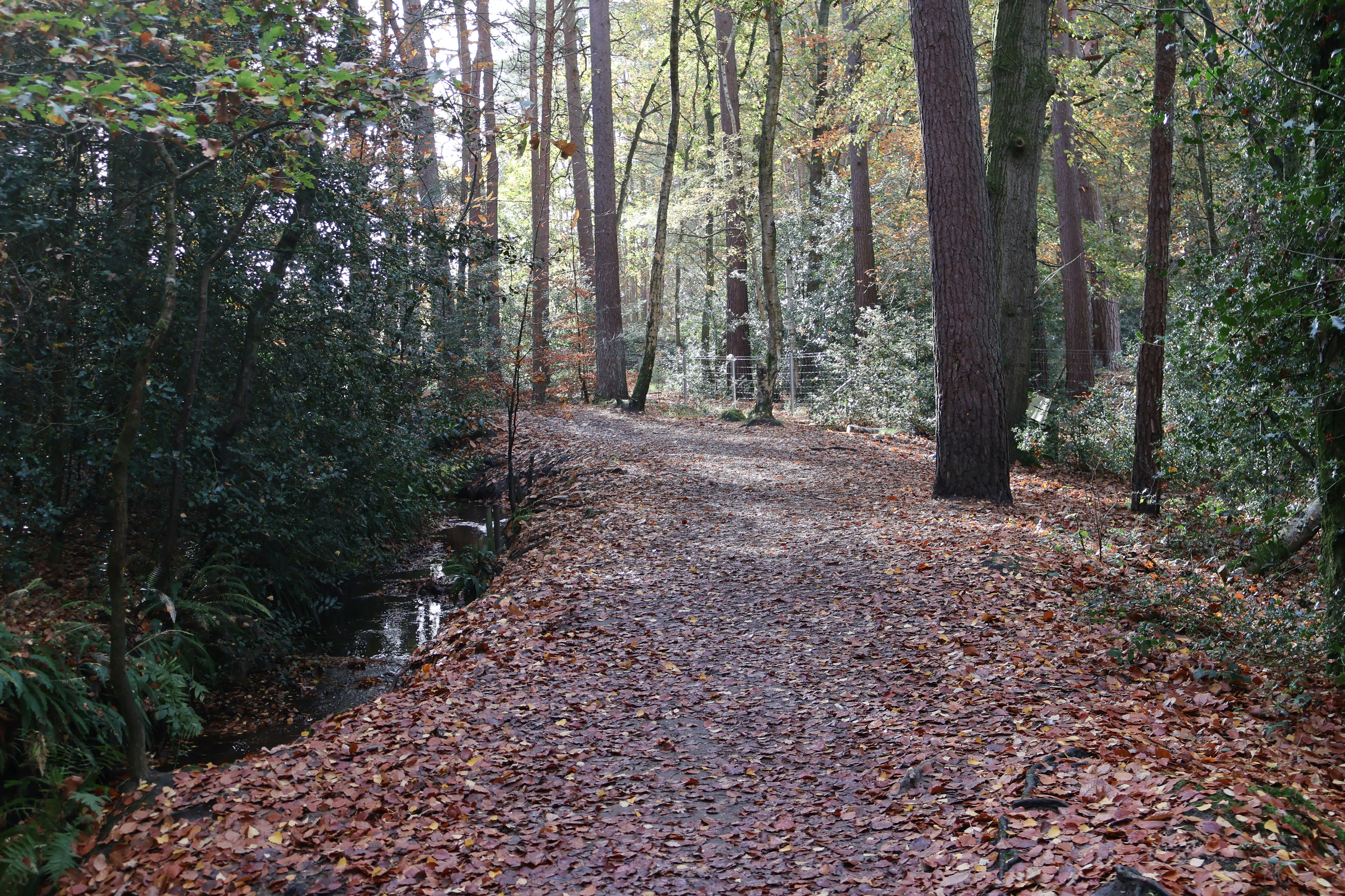 Photo by tanyabarrow