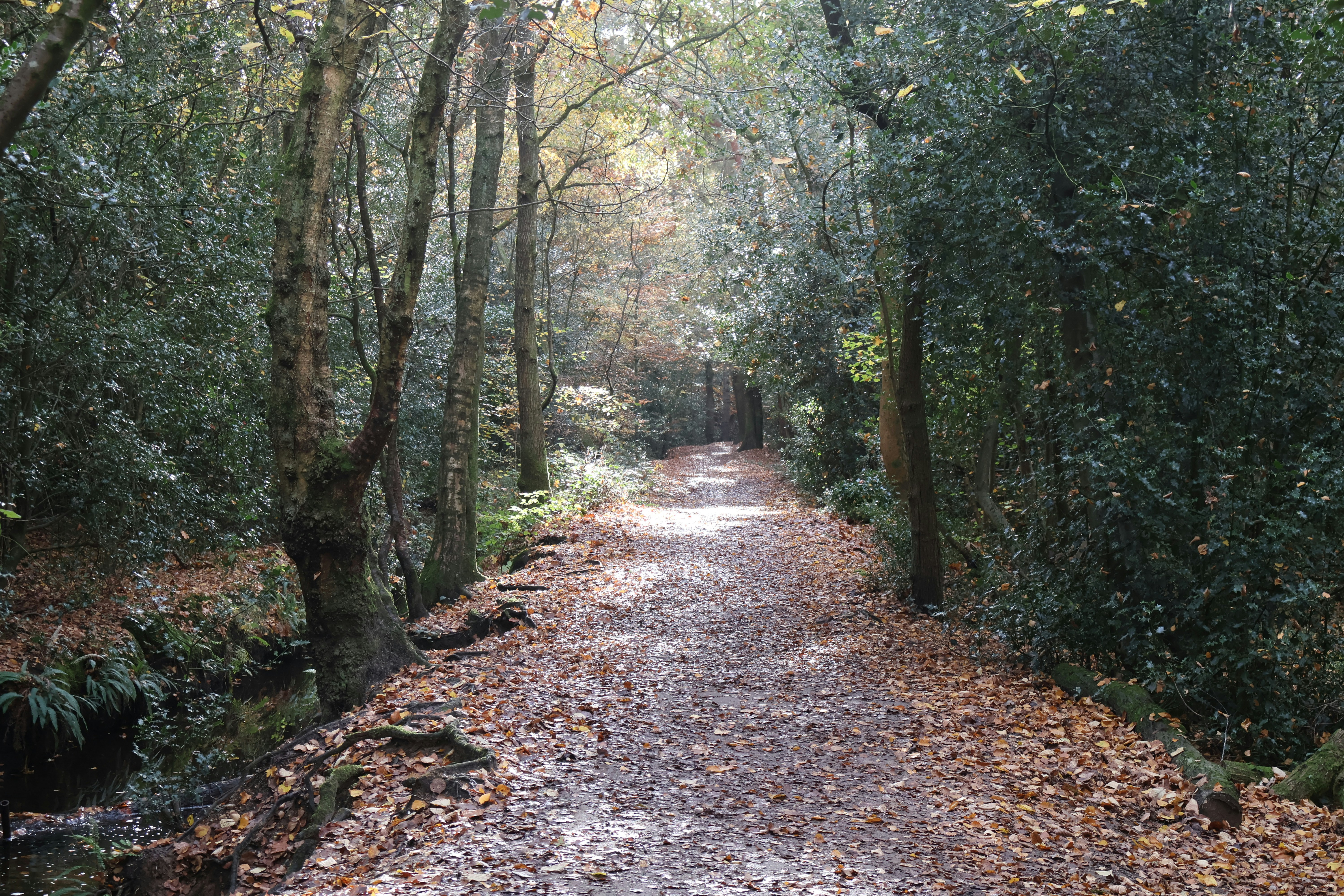 Photo by tanyabarrow