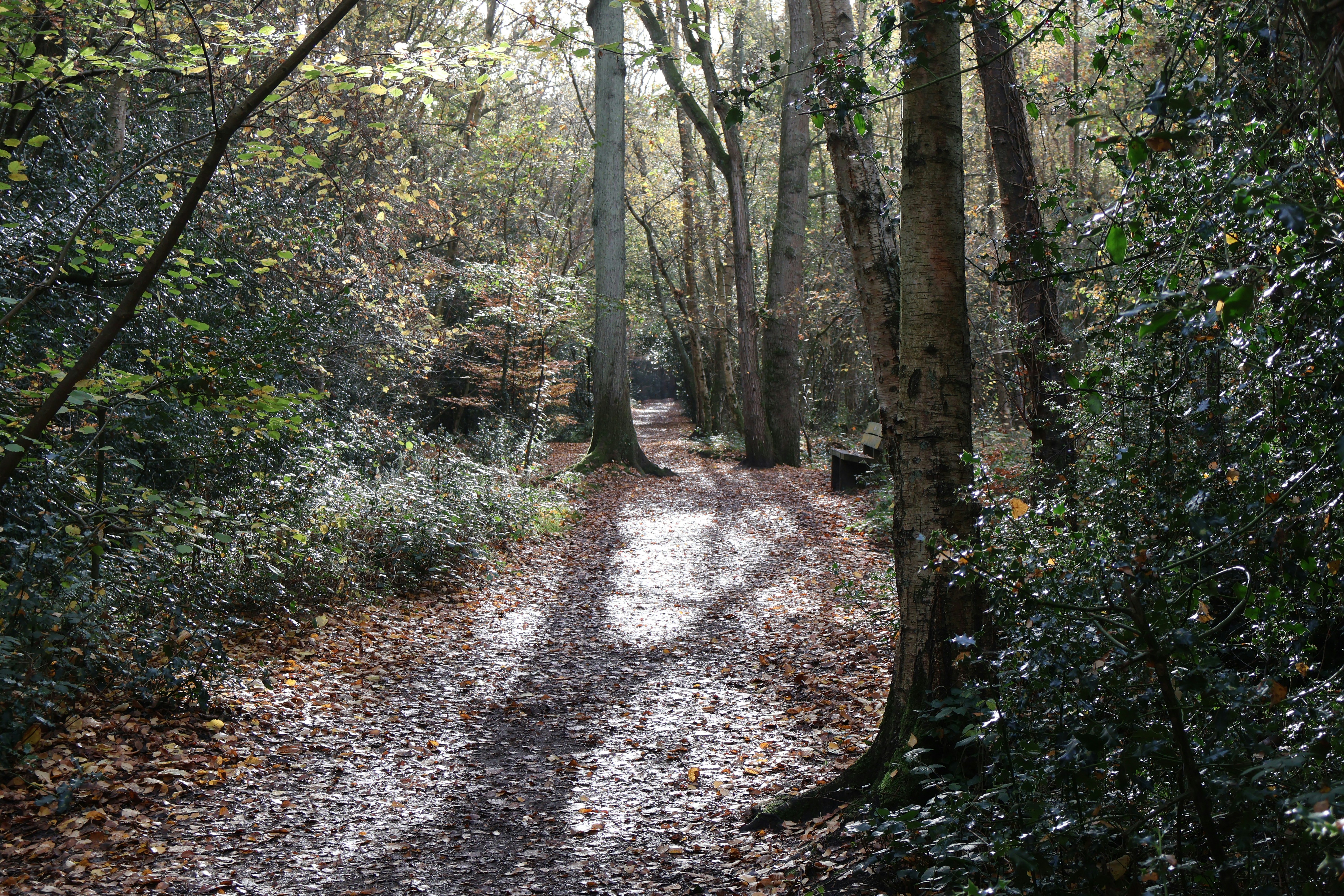 Photo by tanyabarrow