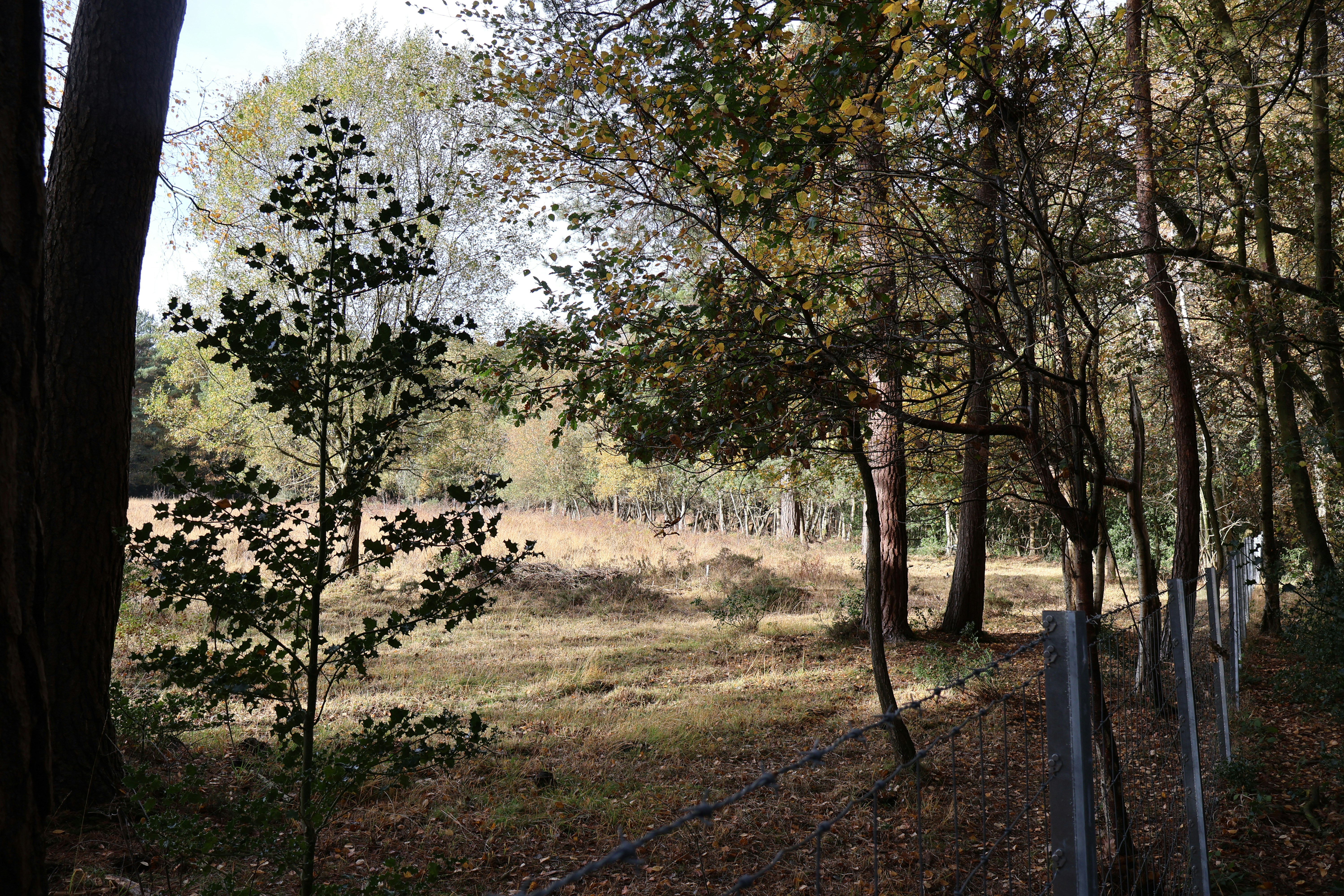 Photo by tanyabarrow