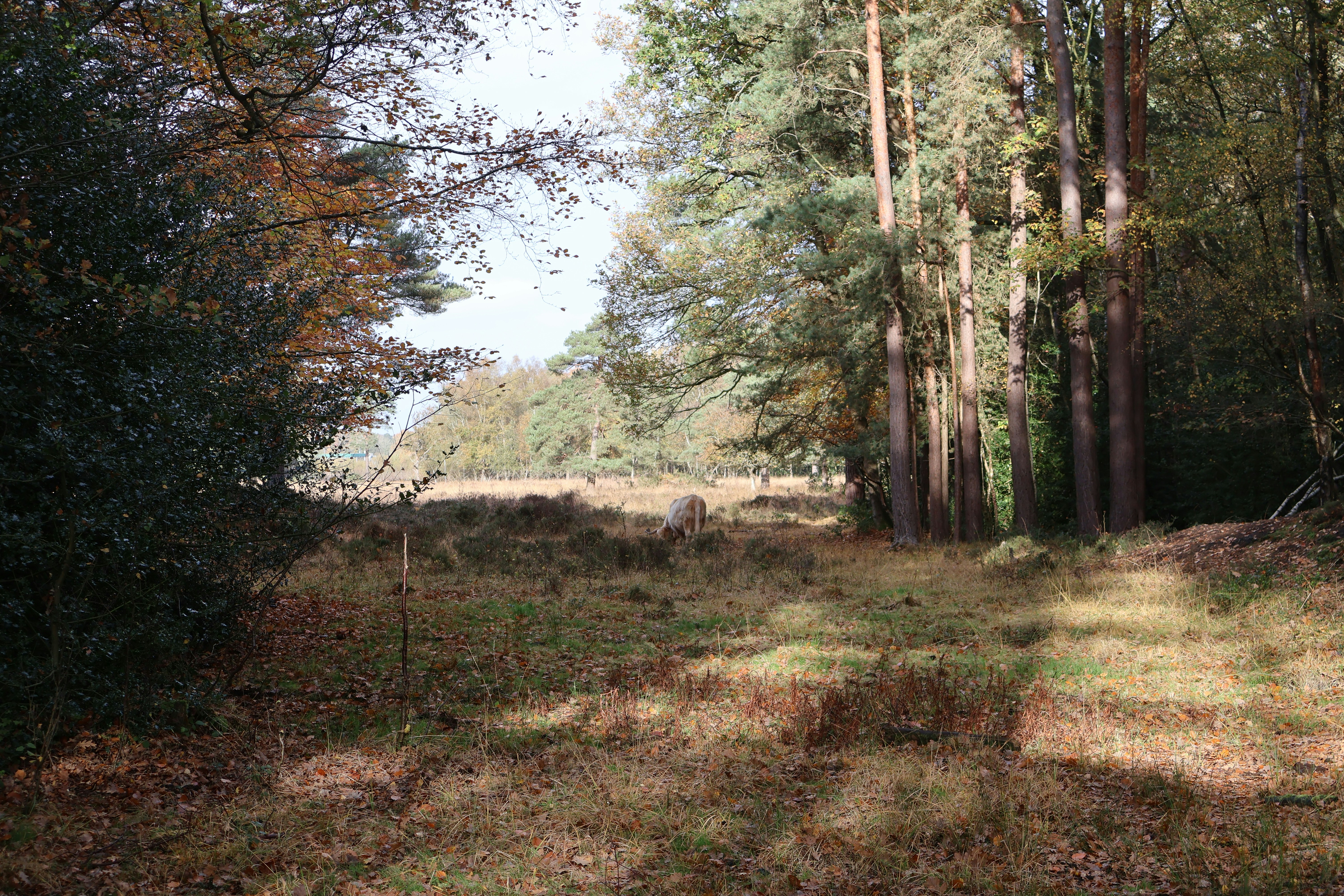 Photo by tanyabarrow