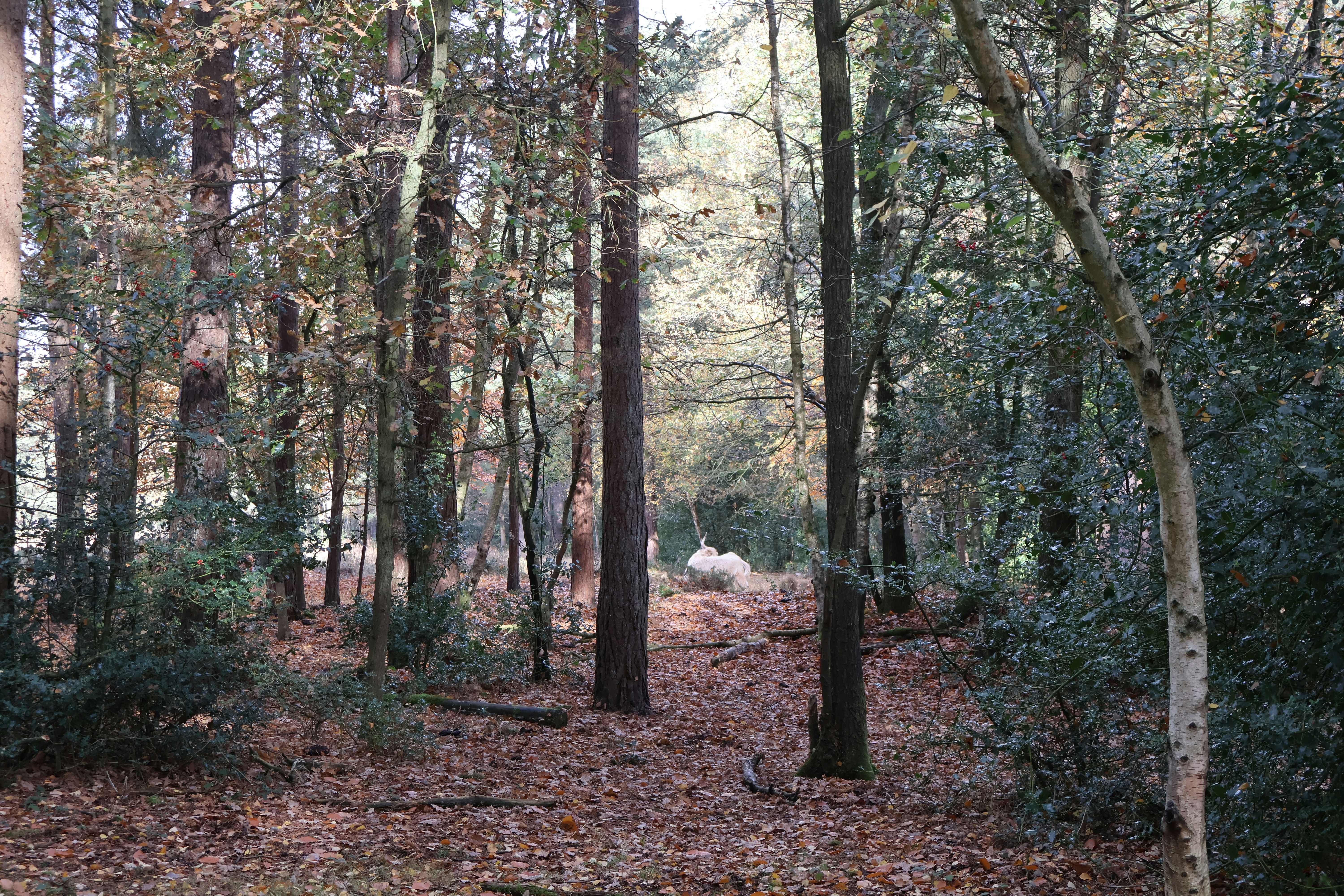 Photo by tanyabarrow