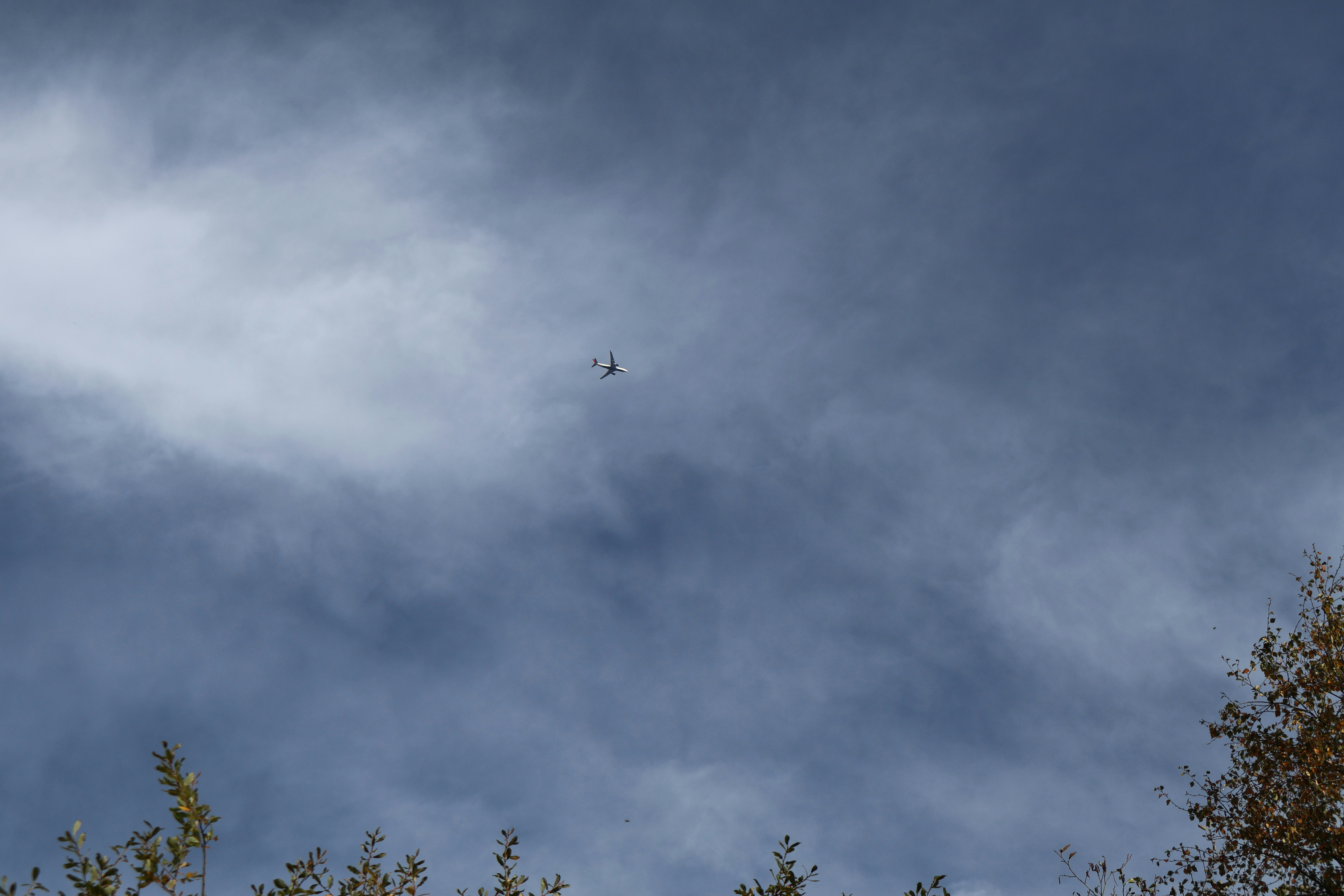 Photo by tanyabarrow