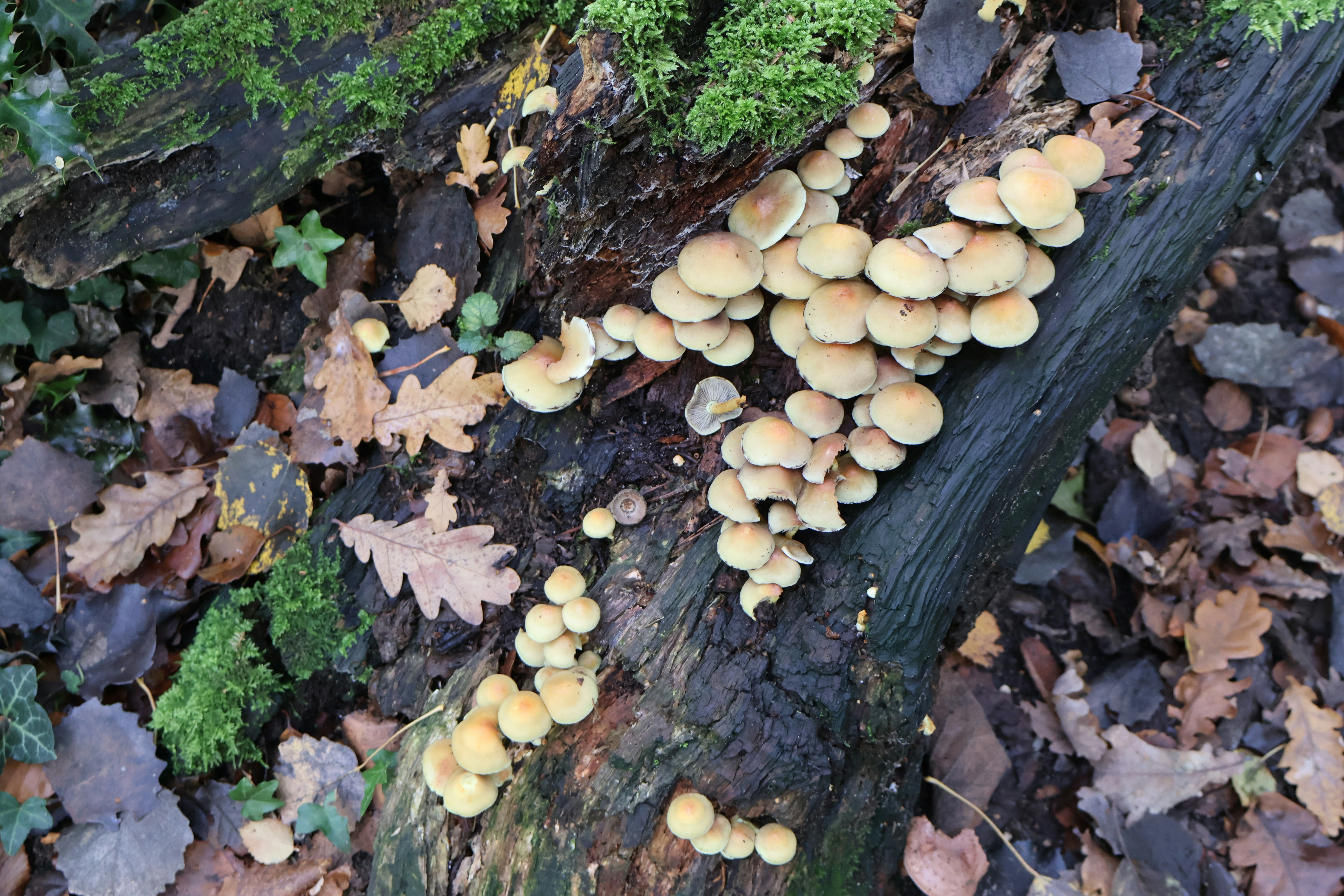 Photo by tanyabarrow