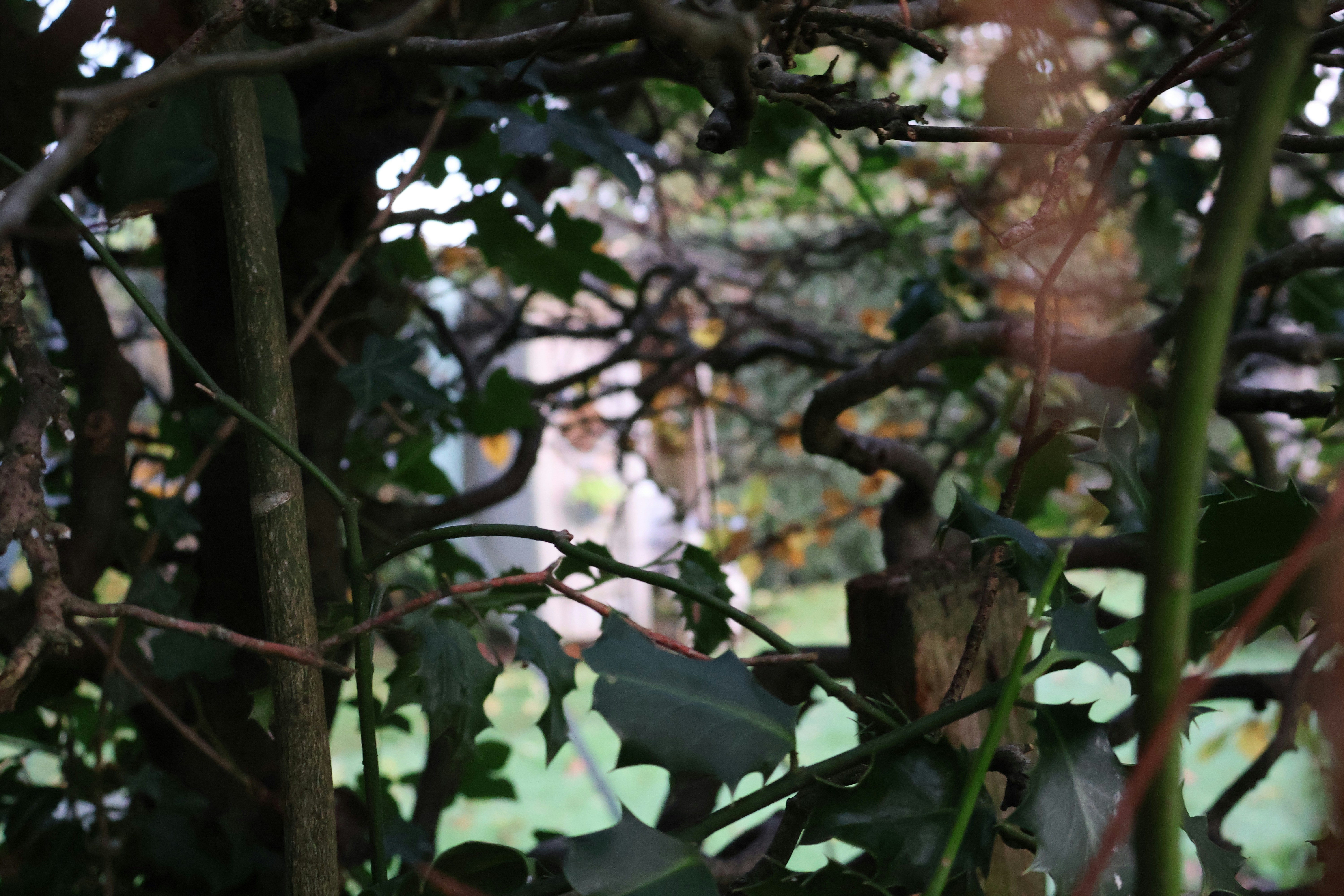 Photo by tanyabarrow