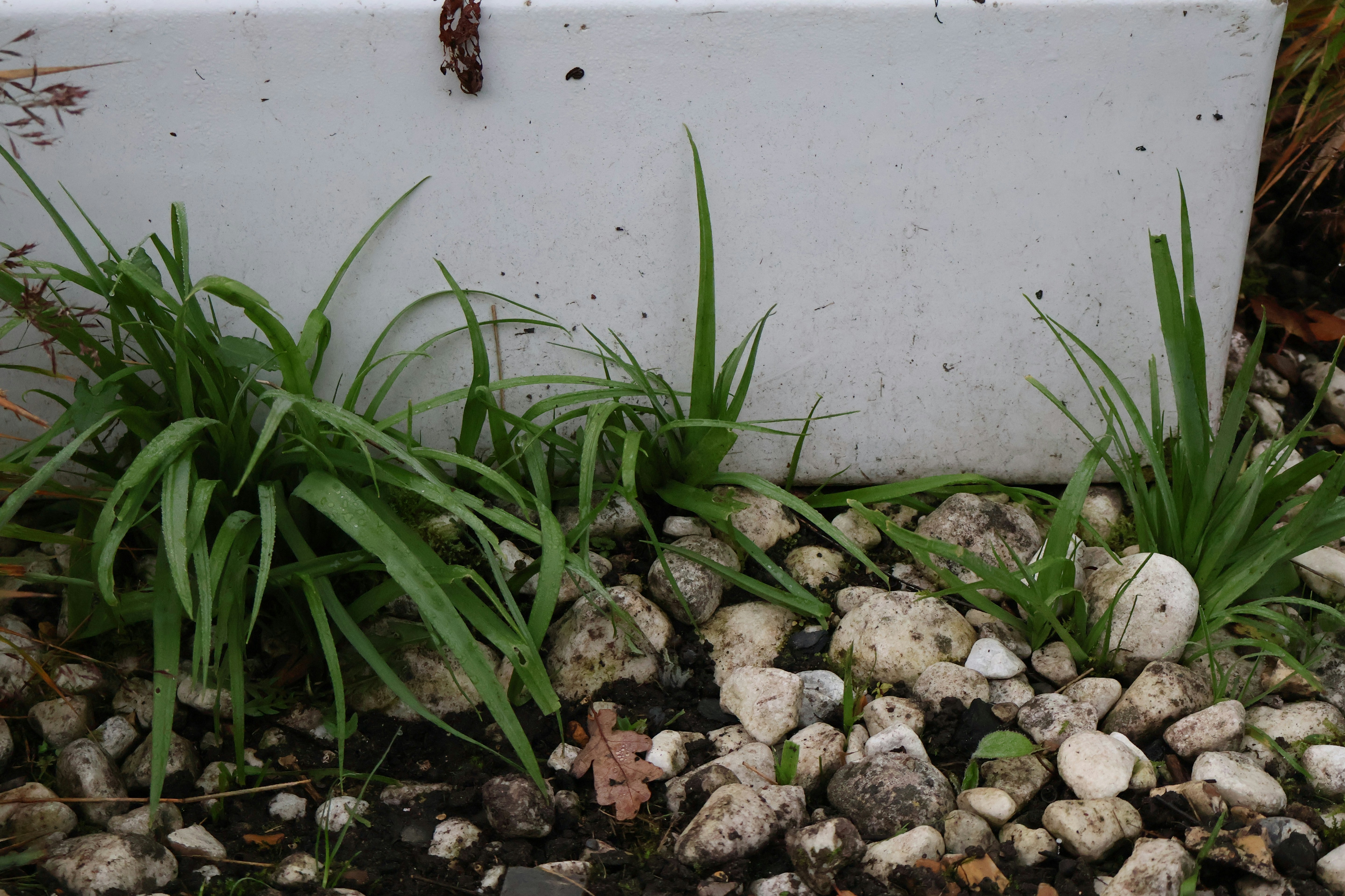 The Endurance of Faith: Lessons from Injuries in Sports