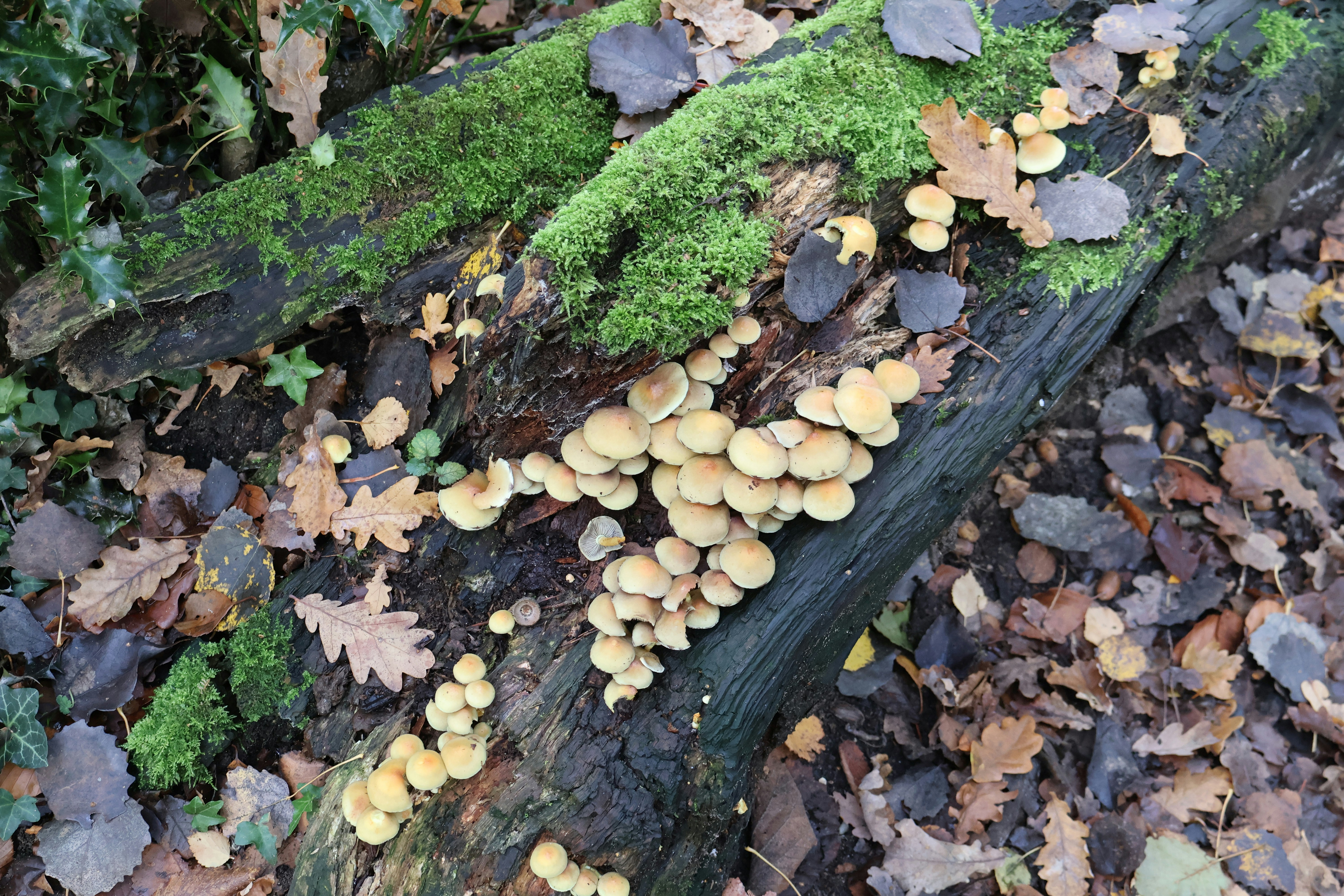 Photo by tanyabarrow