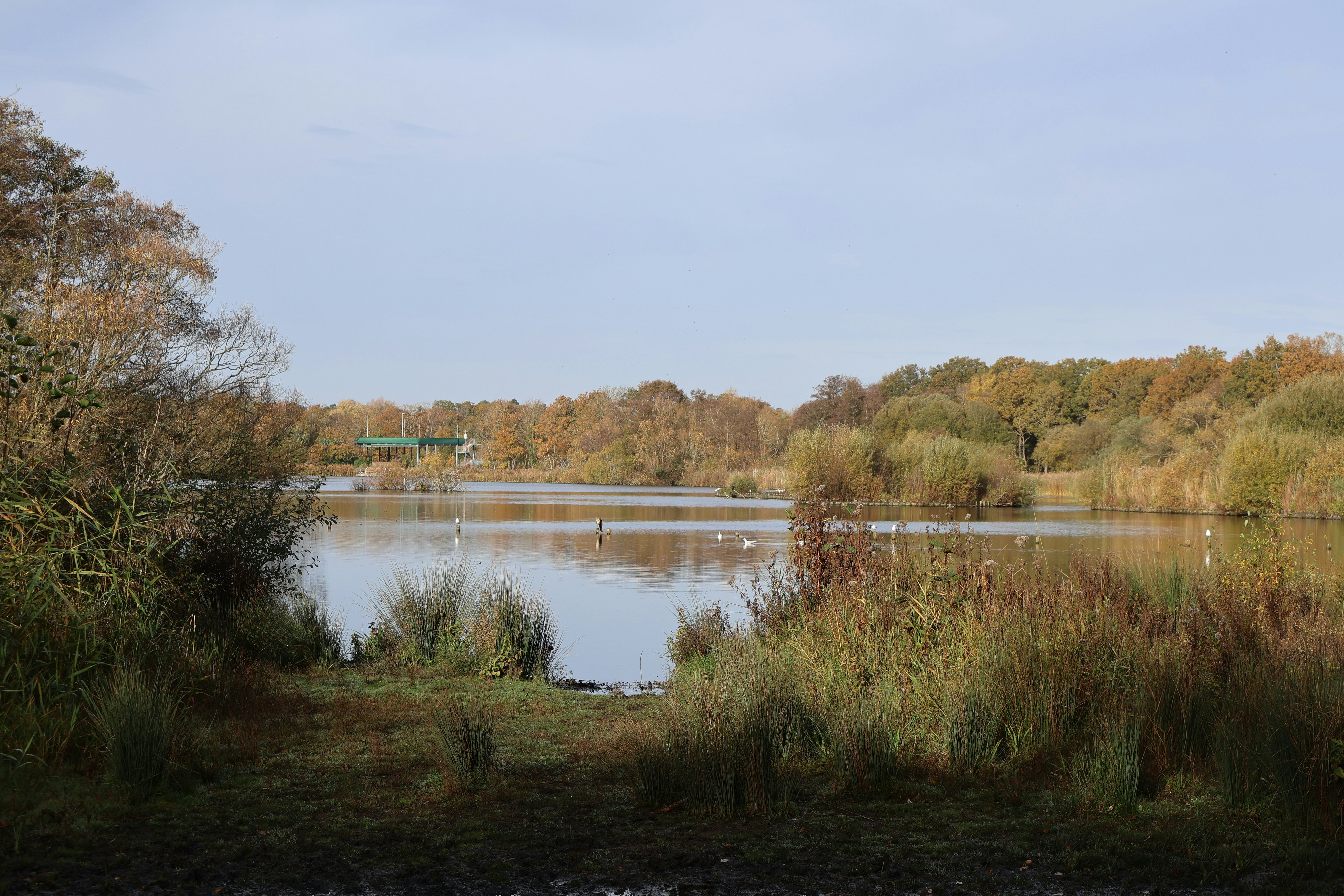 Photo by tanyabarrow