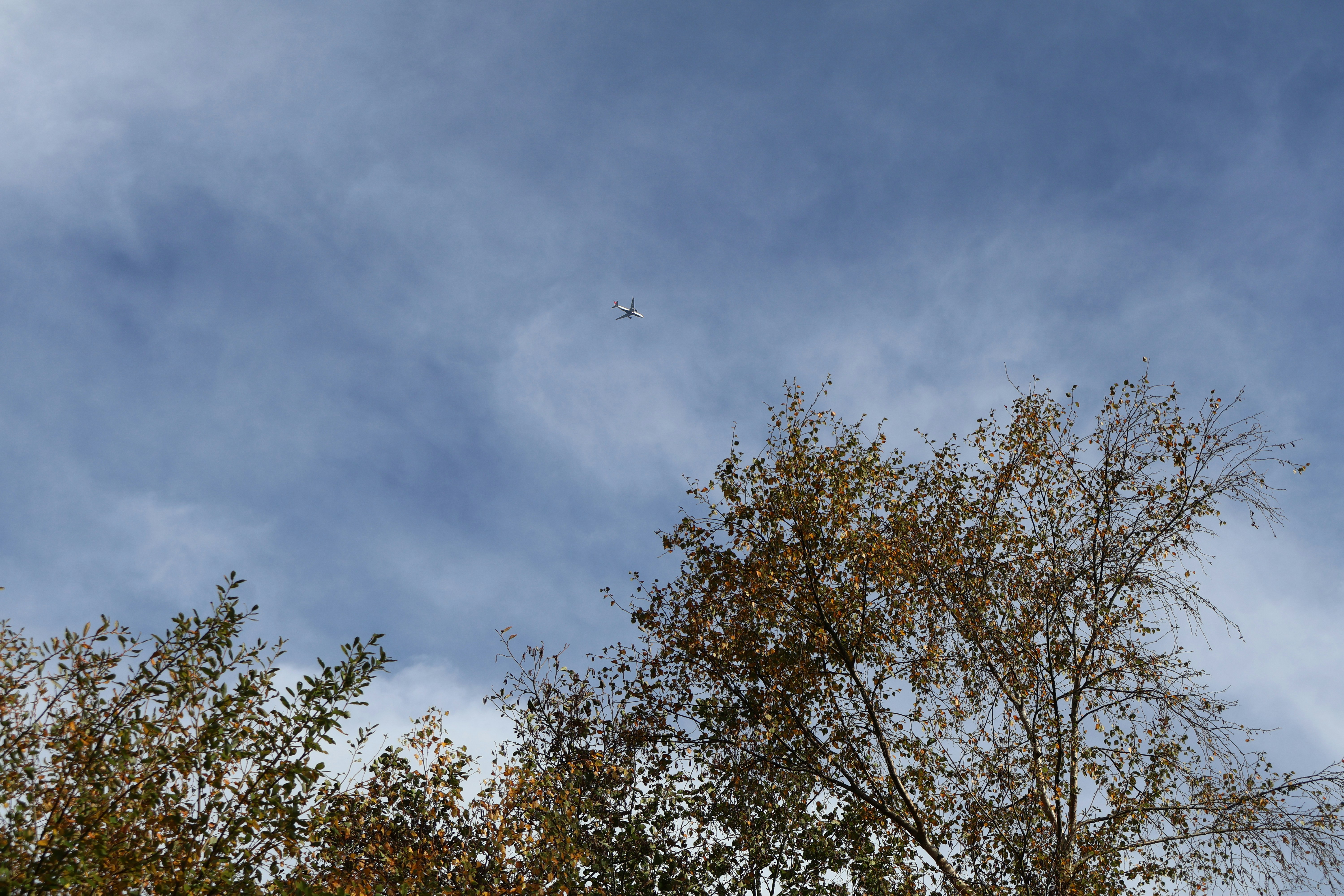 Photo by tanyabarrow