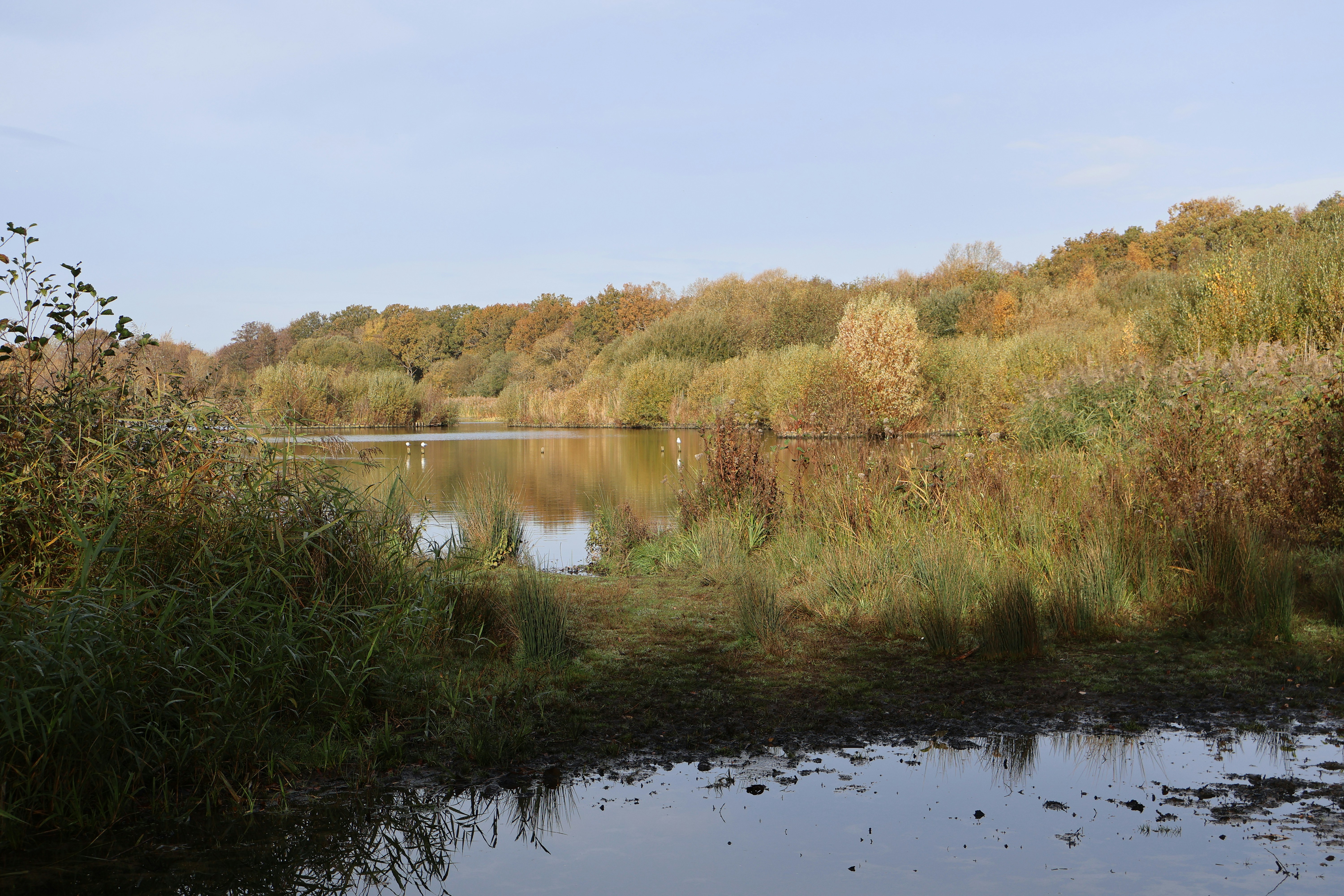 Photo by tanyabarrow