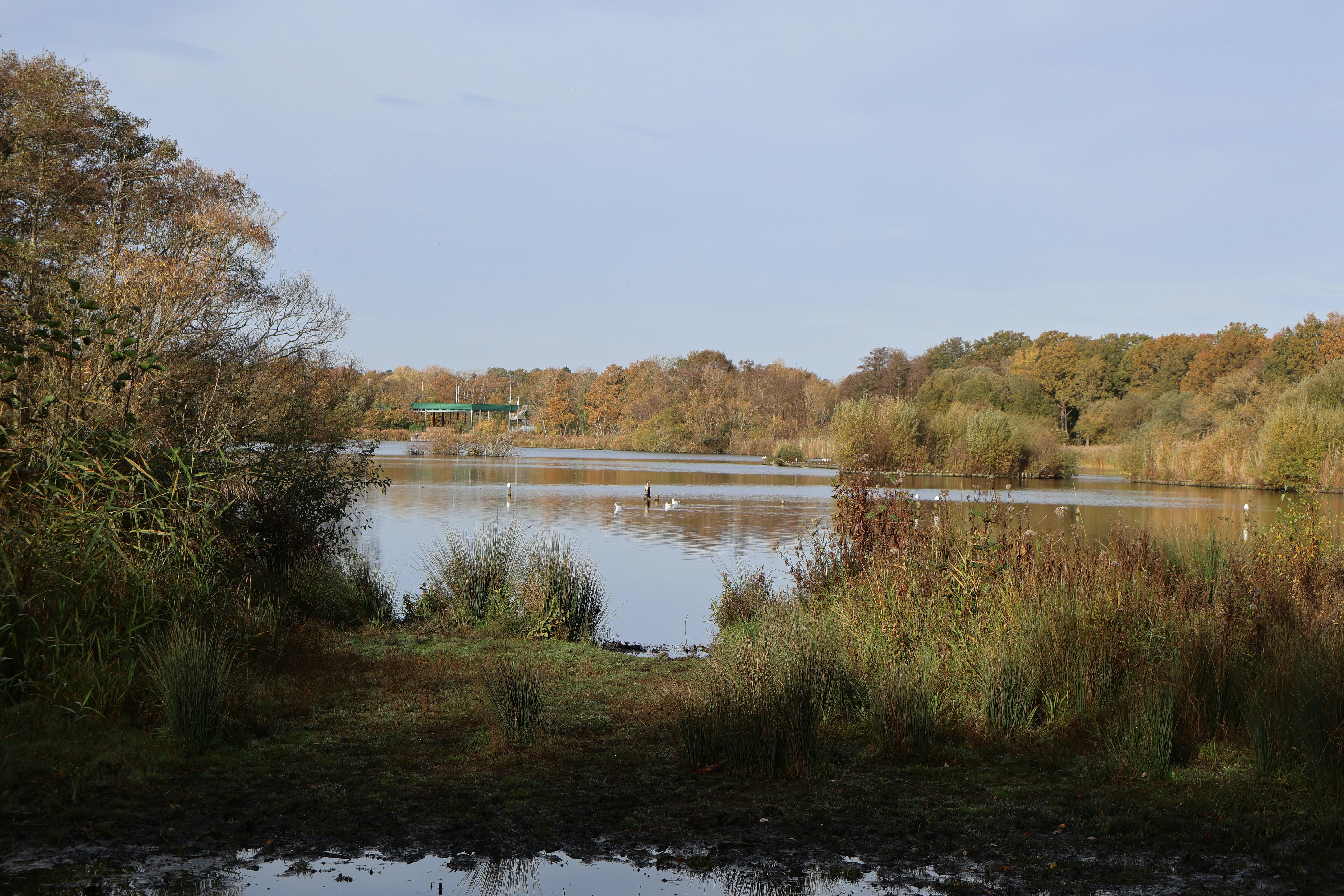 Photo by tanyabarrow