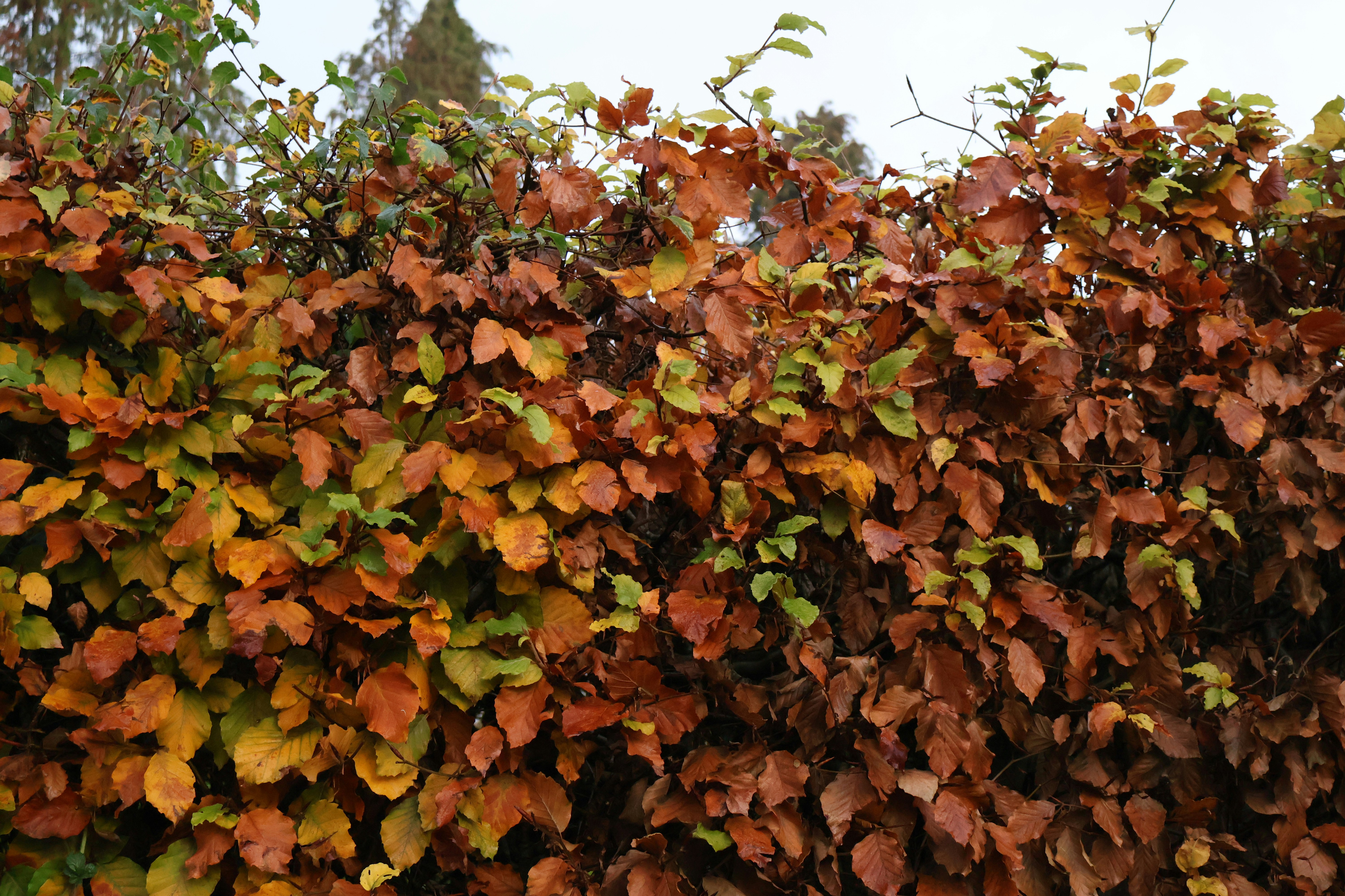 Photo by tanyabarrow