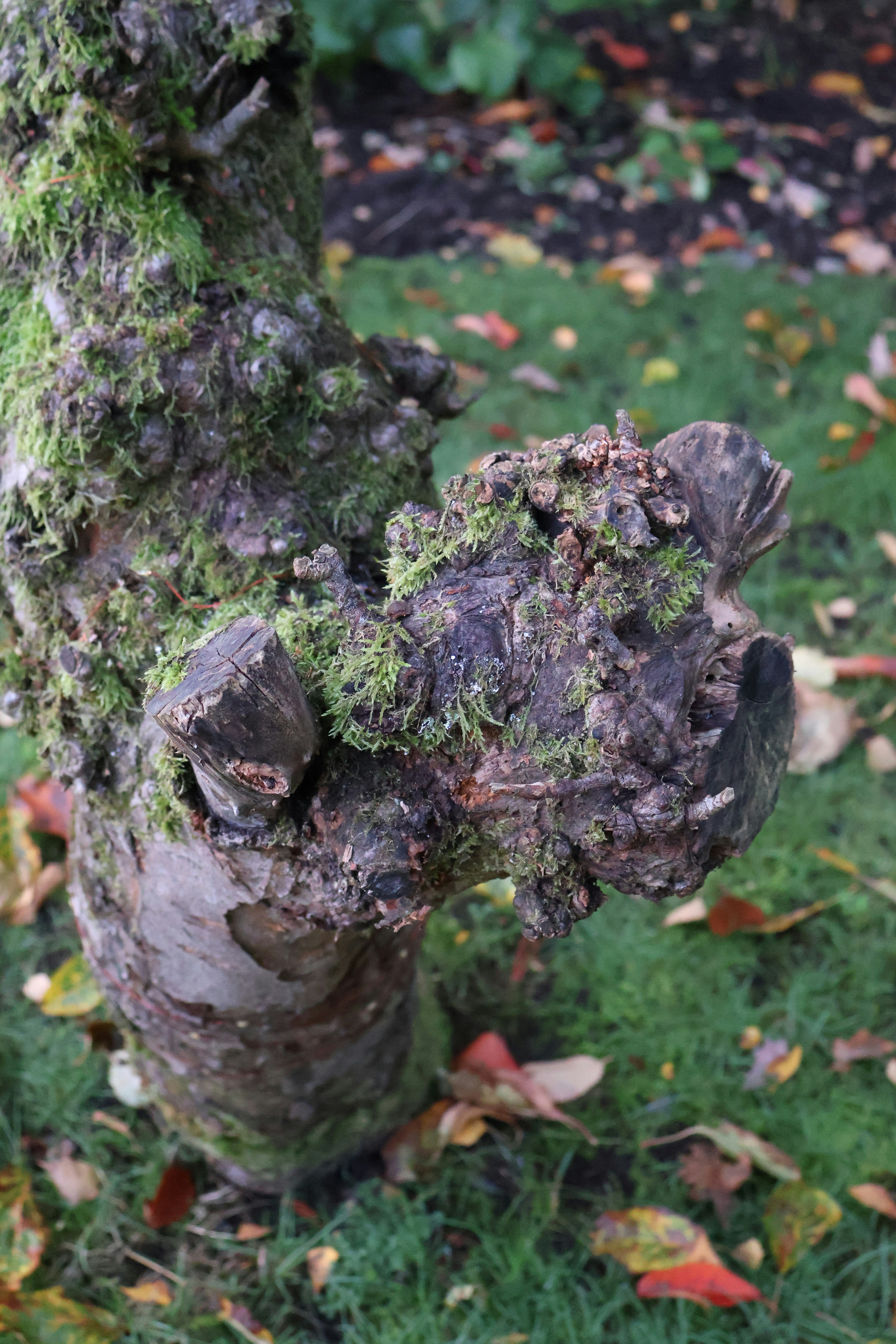 Photo by tanyabarrow