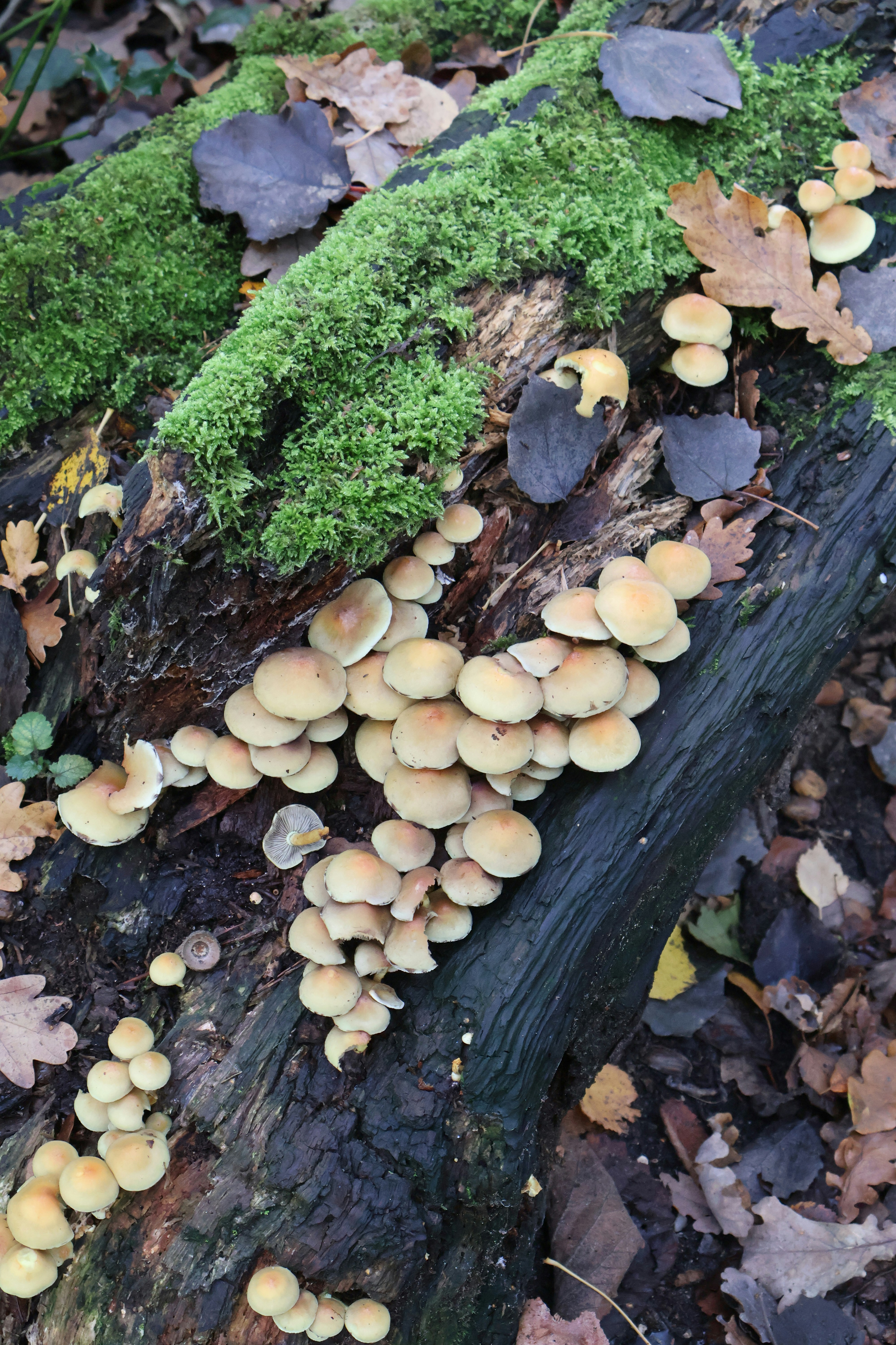 Photo by tanyabarrow