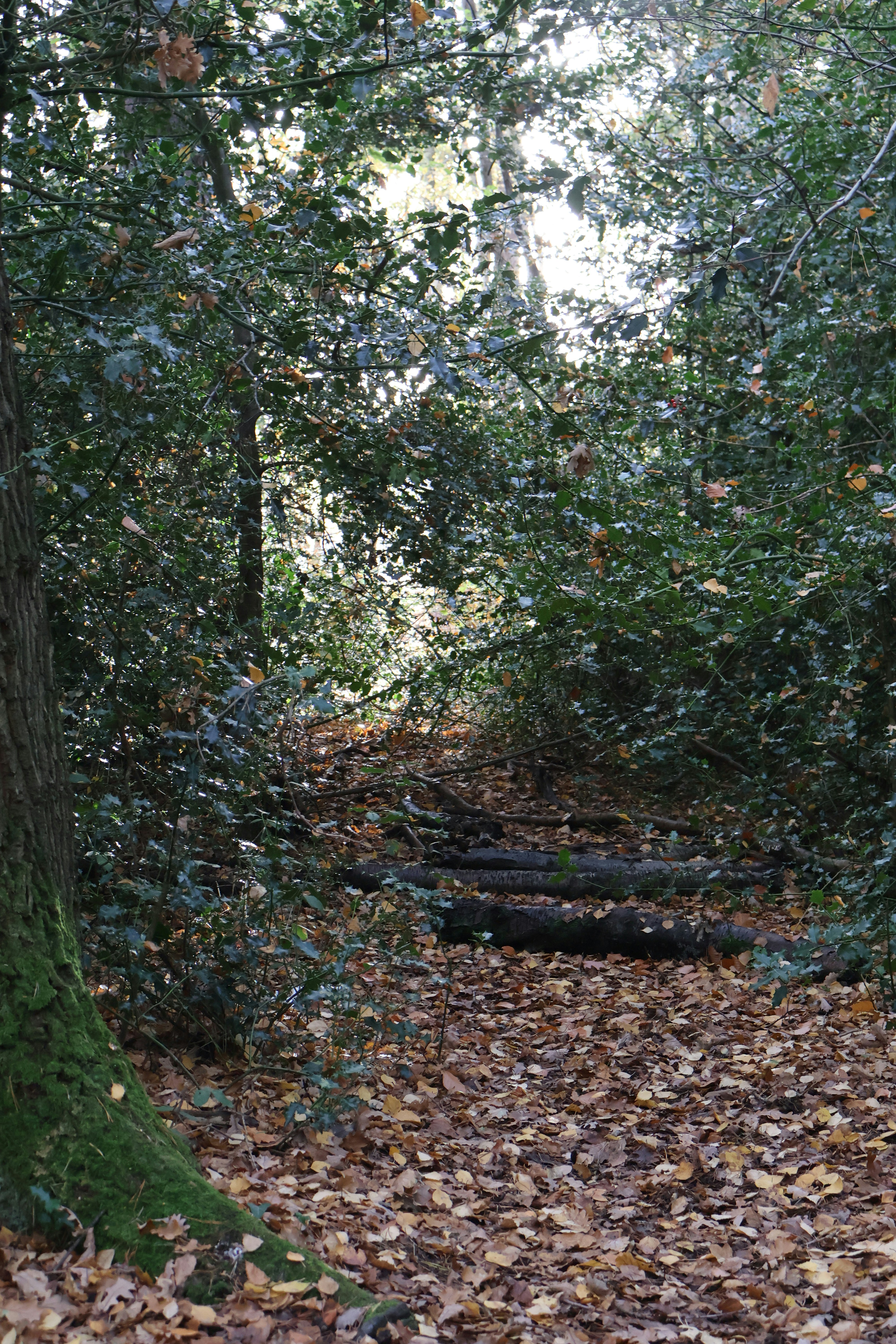 Photo by tanyabarrow